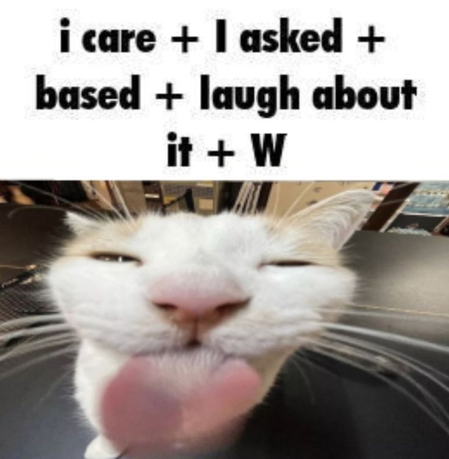 Squinting white cat with its tongue out over the text 'i care + I asked + based + W'