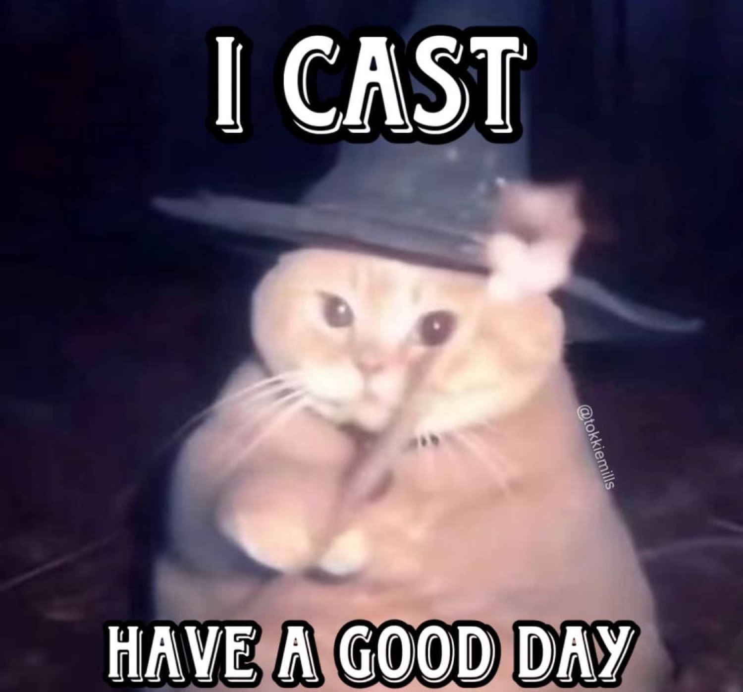 Chubby orange cat wearing a wizard hat casting a 'have a good day' spell