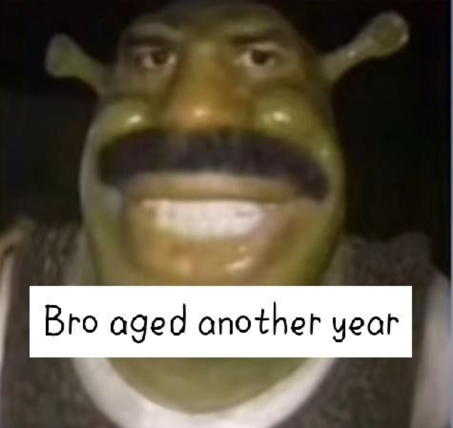 Shrek-faced man with a mustache grinning in the dark: 'Bro aged another year'