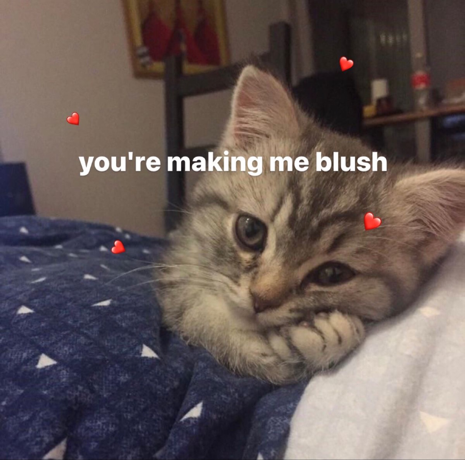 Tiny kitten tucked into blankets with a shy sideways glance, text says 'you're making me blush'