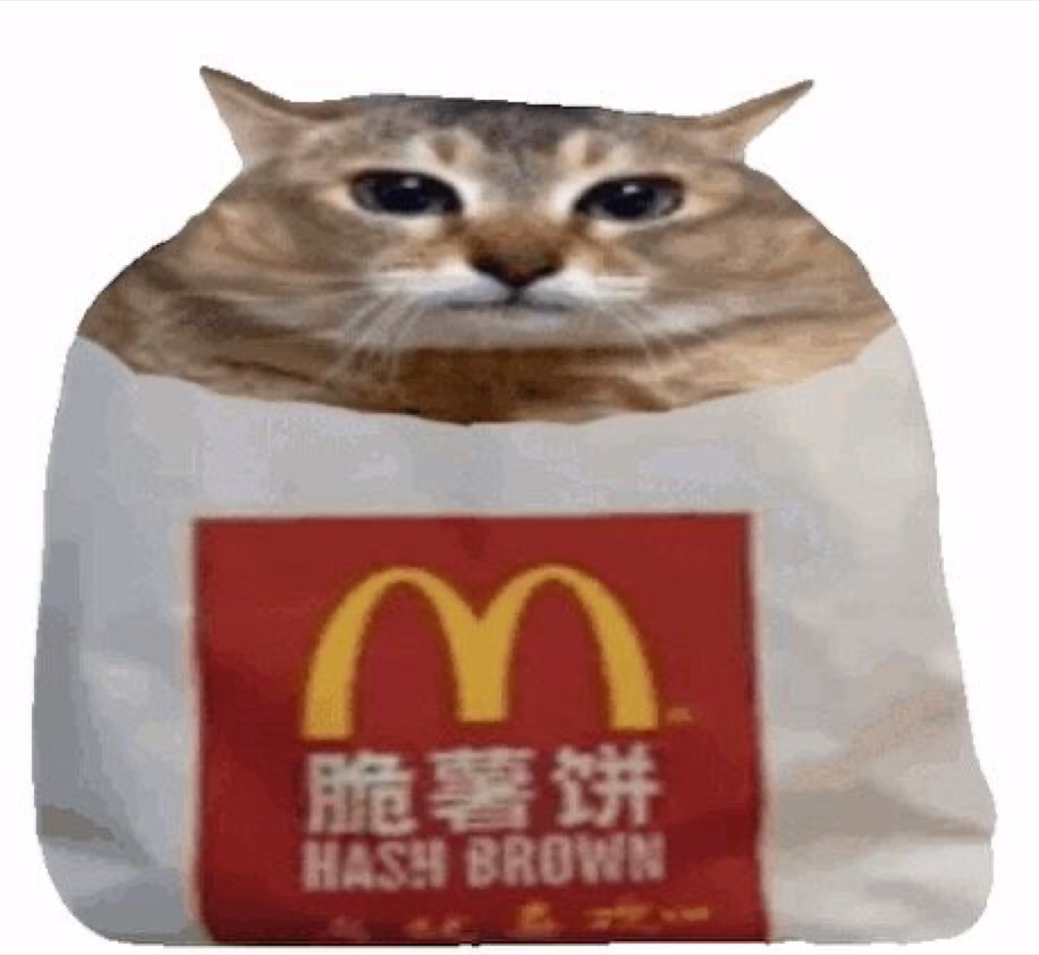 Cat face poking out of a McDonald's hash brown bag with a mournful stare