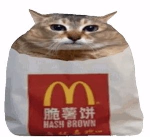 Cat face poking out of a McDonald's hash brown bag with a mournful stare