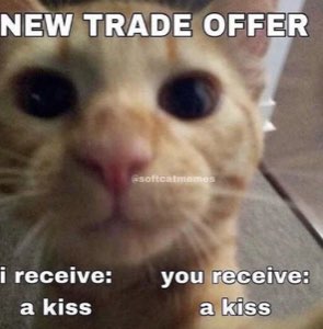 Orange cat with huge dilated pupils proposing a kiss-for-kiss trade offer