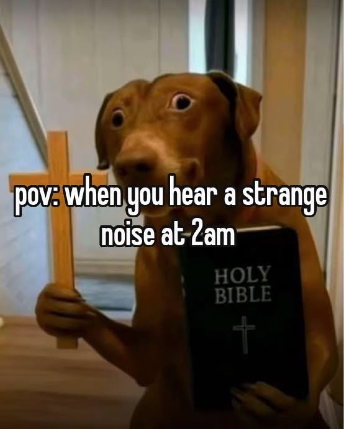 Dog holding a cross and a bible: 'pov: when you hear a strange noise at 2am'