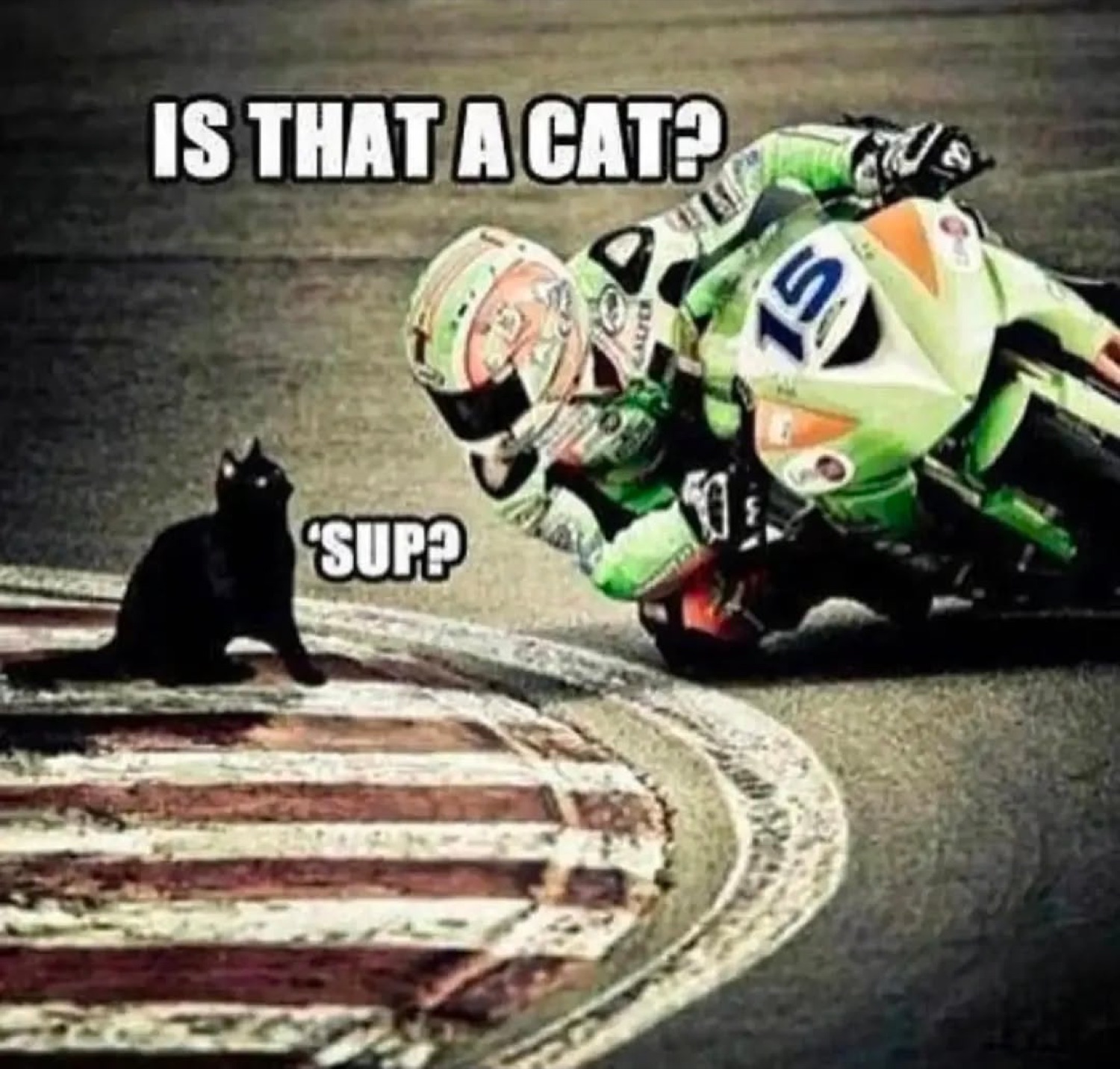 Black cat on a racetrack as a motorcyclist leans past: 'IS THAT A CAT? / SUP?'