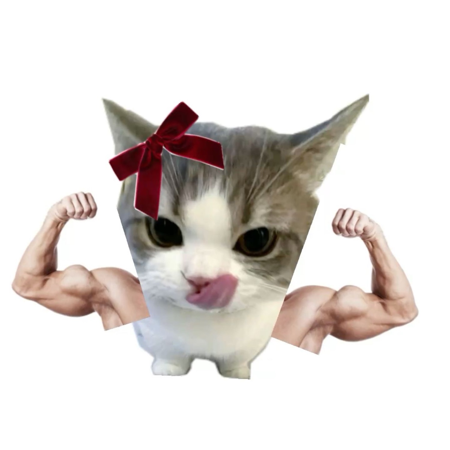 Kitten with a red bow, tongue out, edited onto flexing bodybuilder arms