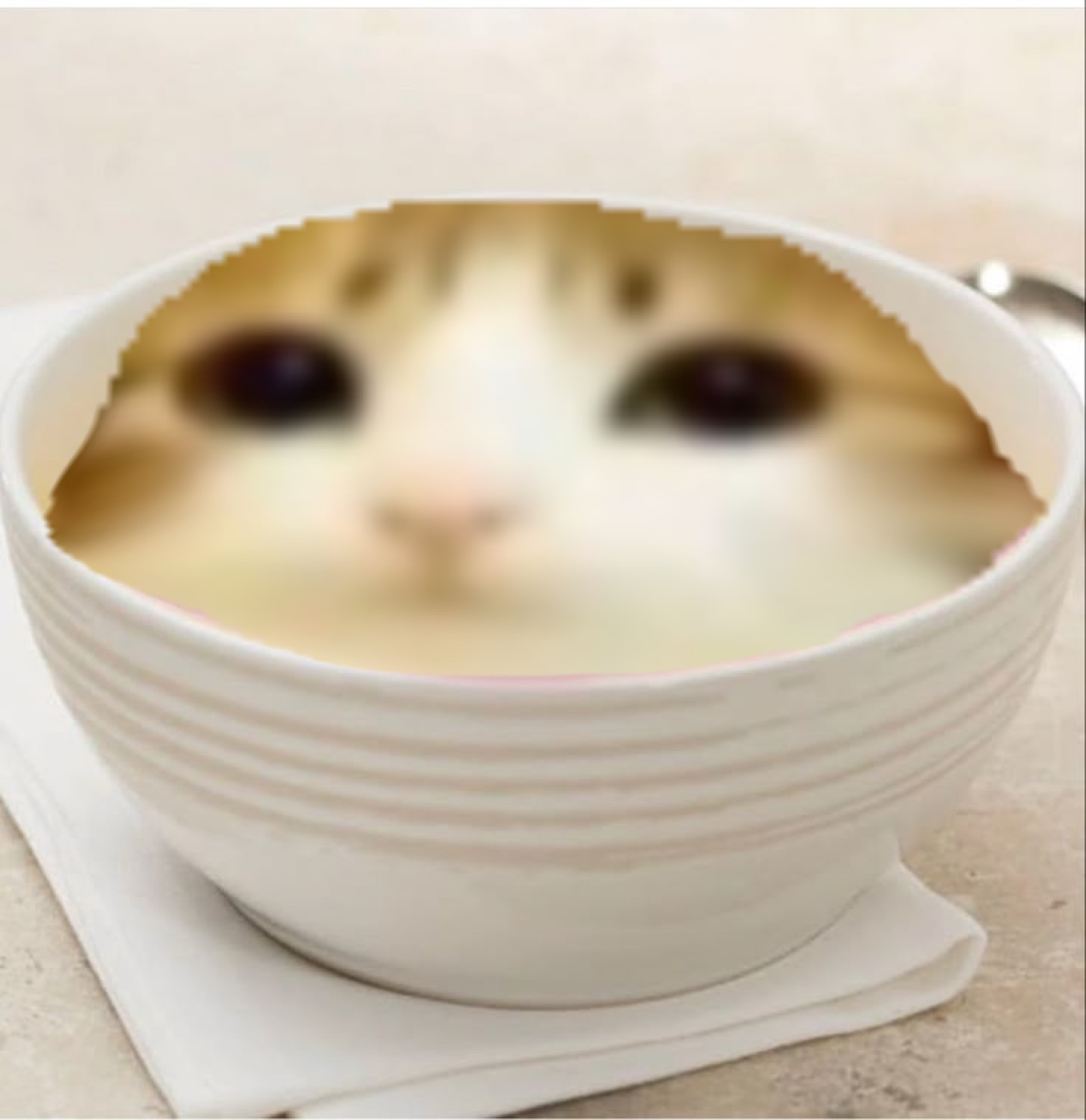 Cat's face filling a white bowl like soup