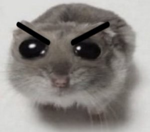 Fluffy flying squirrel with angry drawn-on eyebrows glowering at the camera