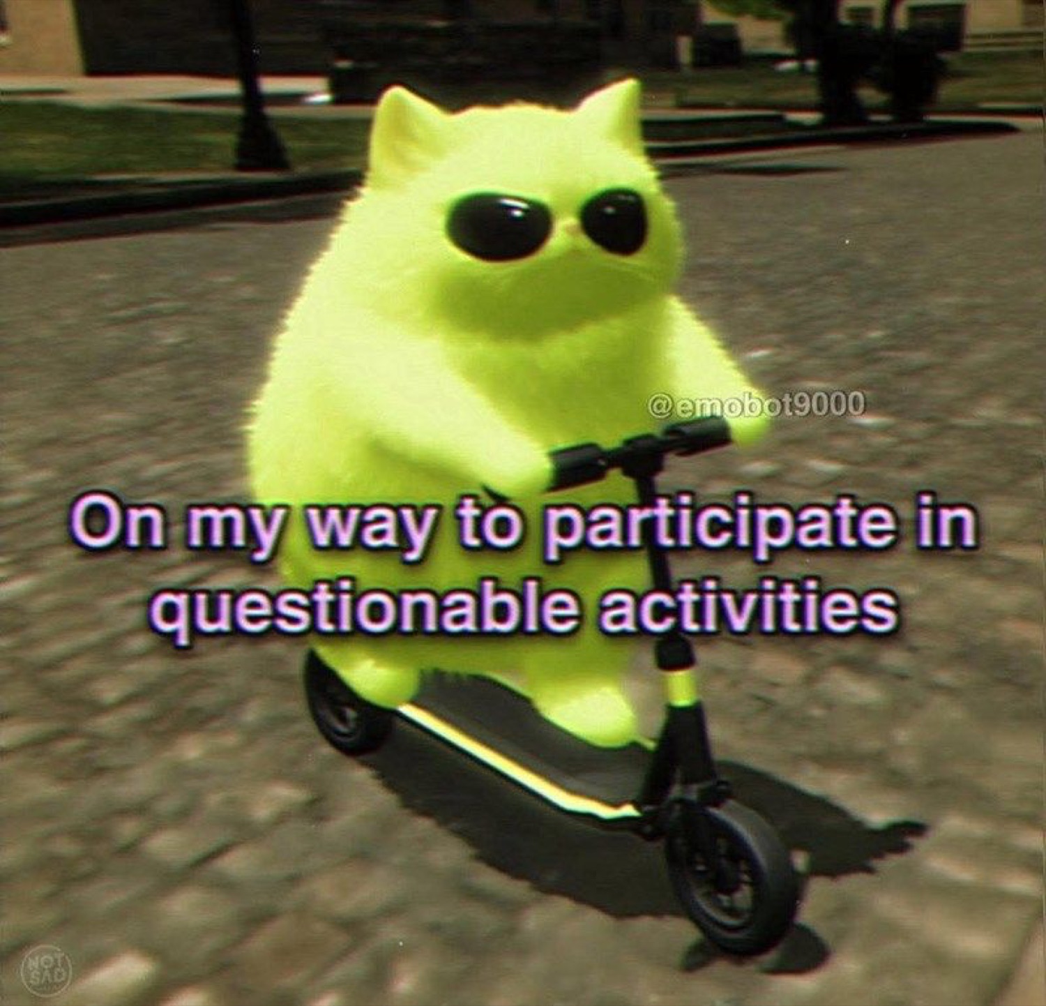 Neon cat in shades on a scooter: 'On my way to participate in questionable activities'