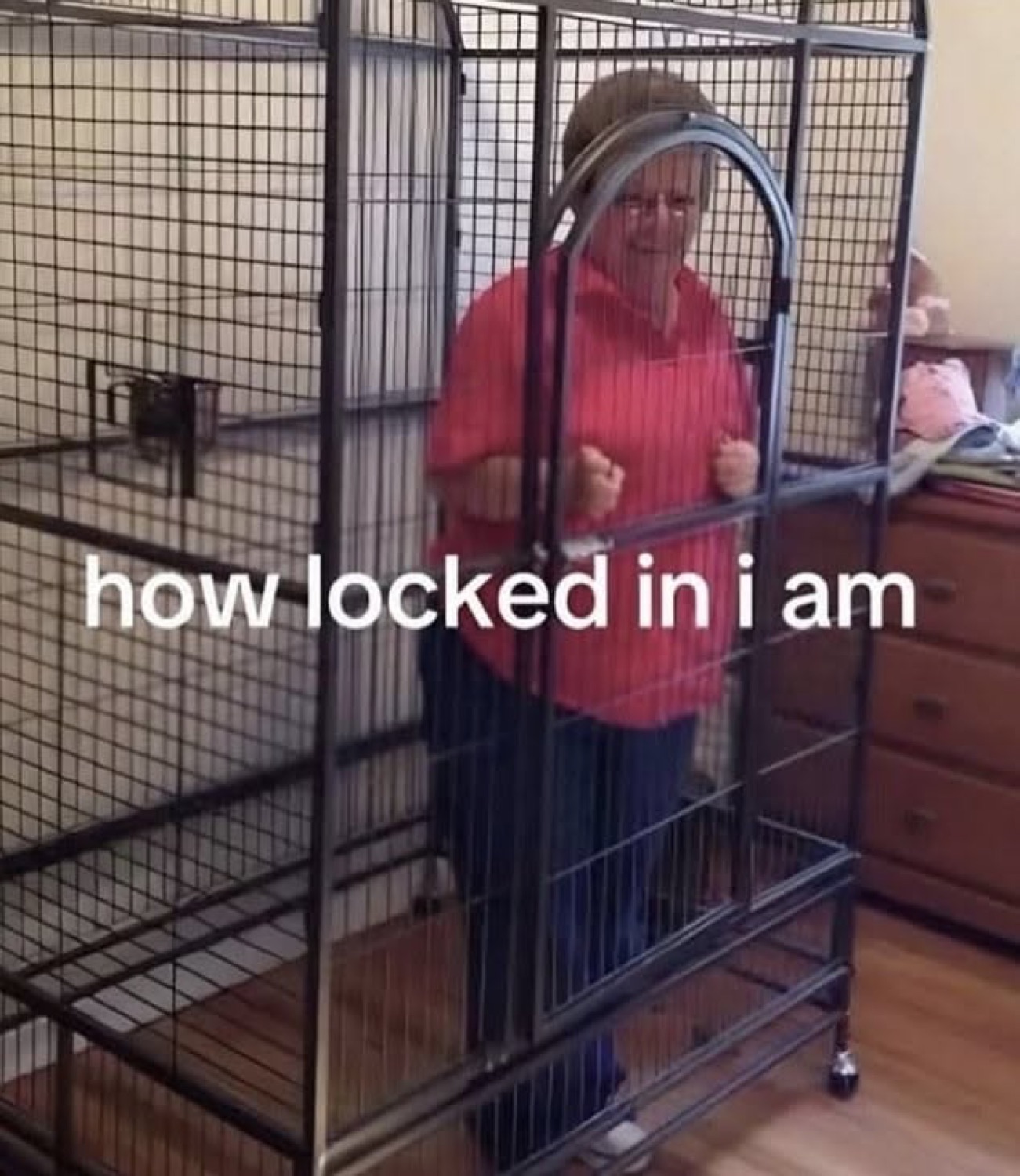 Woman standing inside a giant parrot cage under 'how locked in i am'