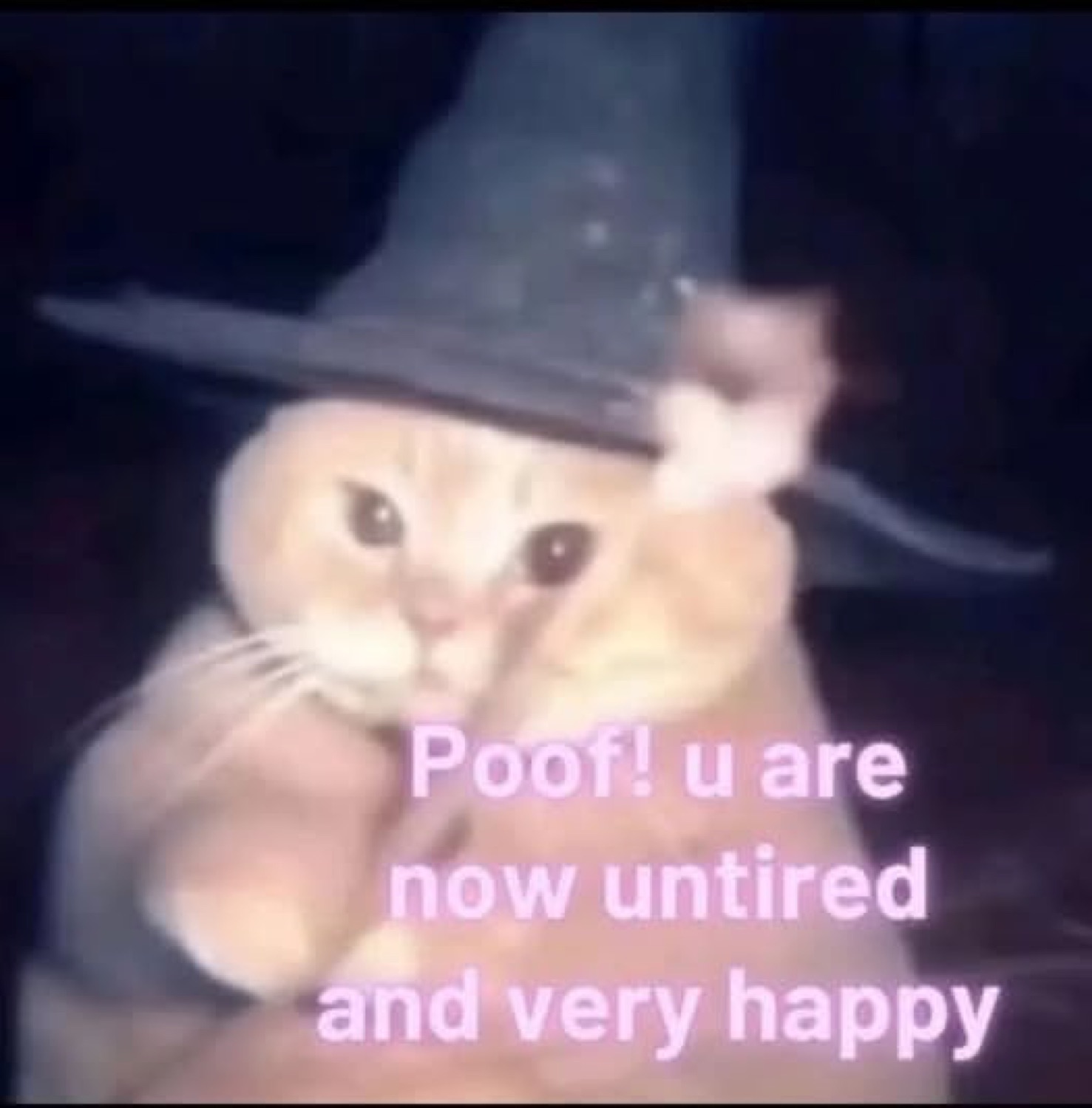 Cat in a wizard hat waving a wand captioned 'Poof! u are now untired and very happy'