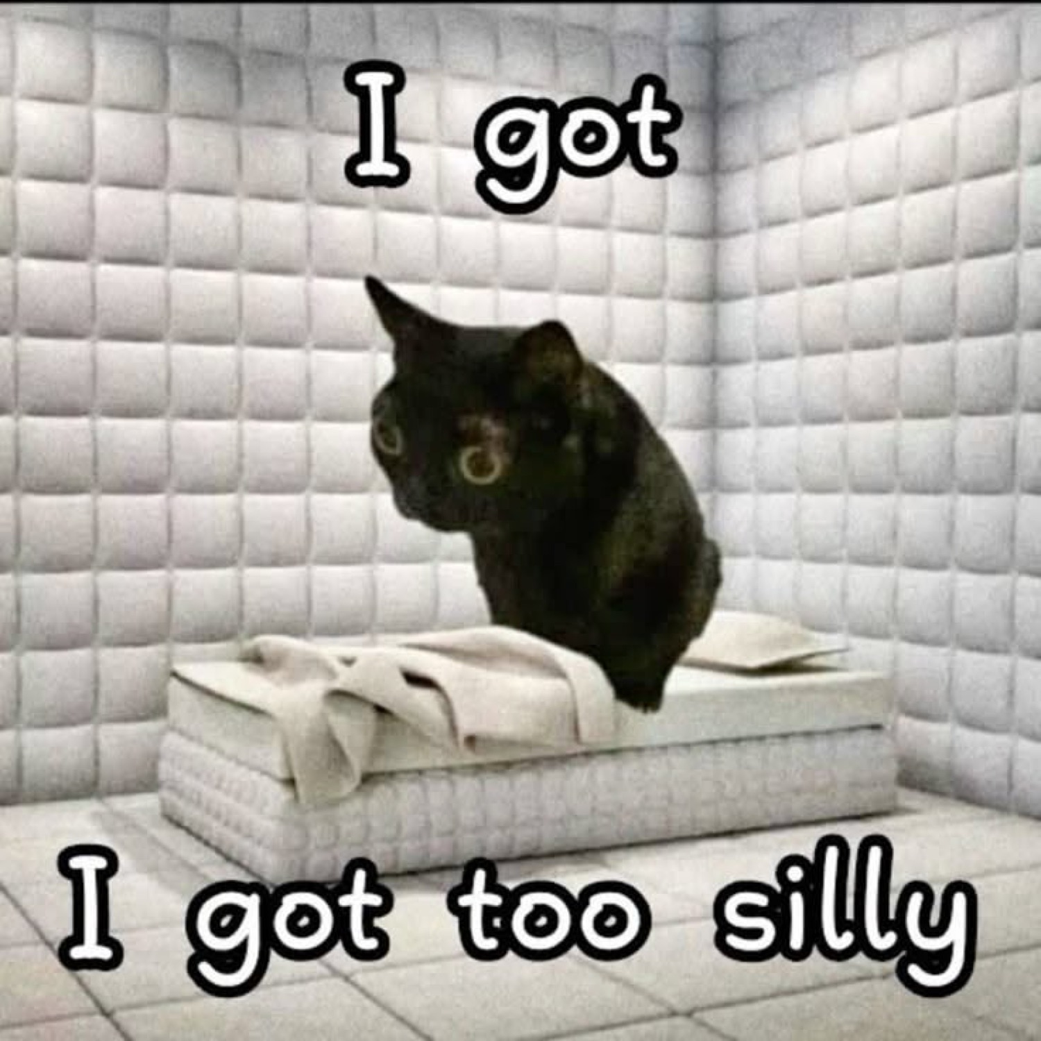 Black cat sitting in a padded cell captioned 'I got too silly'