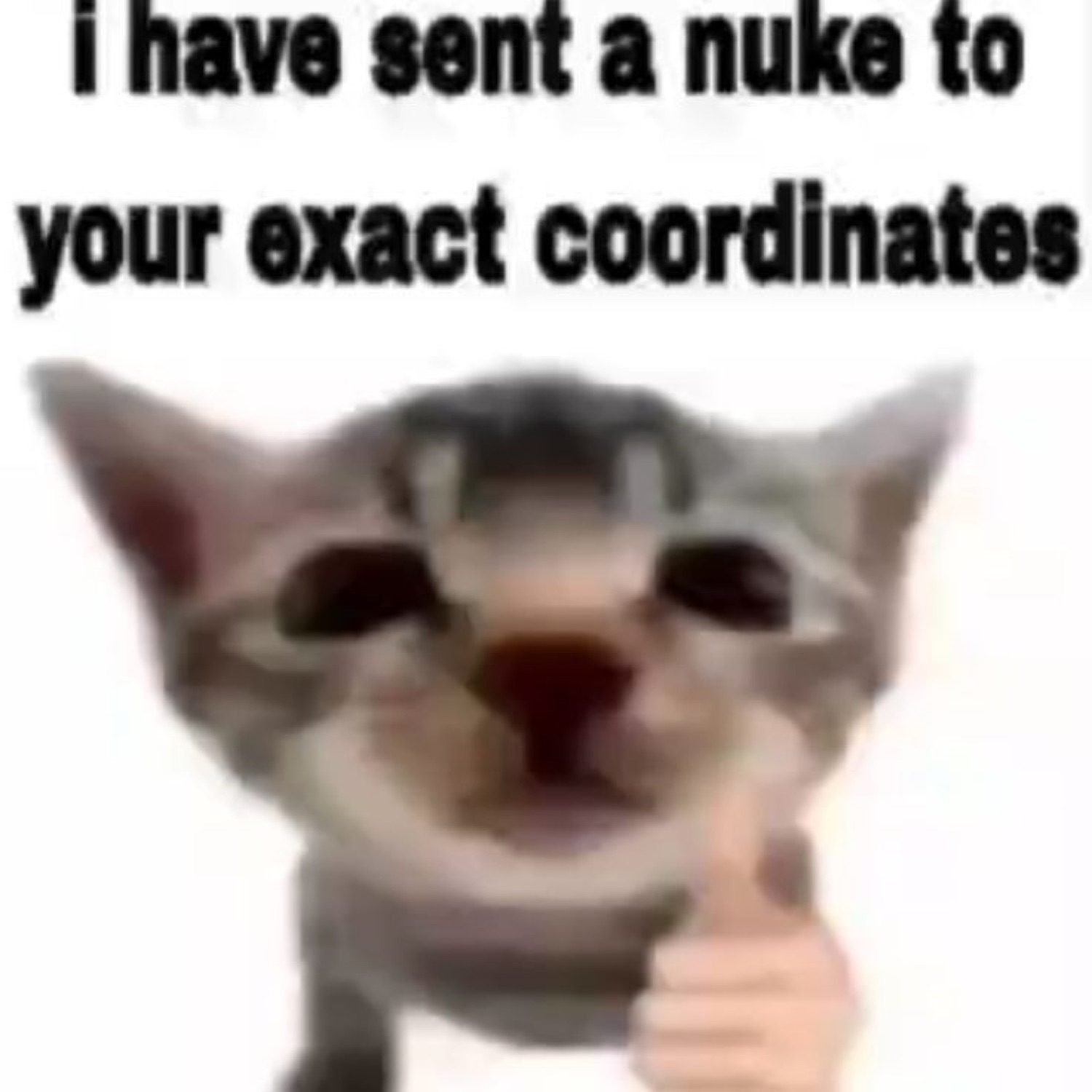 Grinning kitten giving a thumbs up captioned 'i have sent a nuke to your exact coordinates'