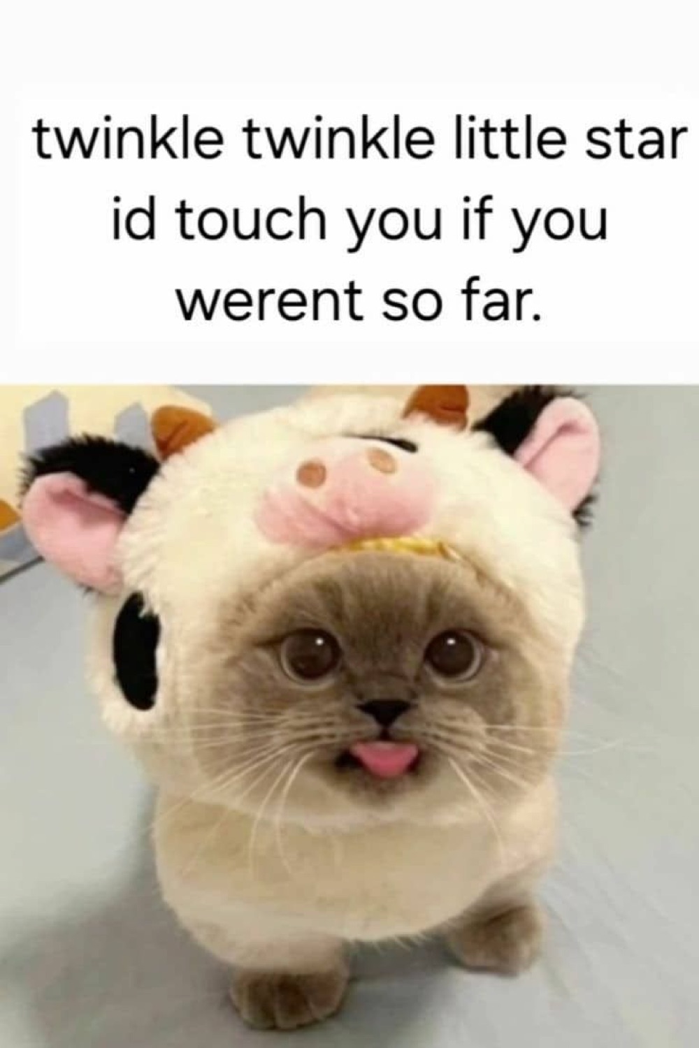 Adorable cat in a cow hood sticking its tongue out slightly, captioned with a flirty nursery rhyme twist
