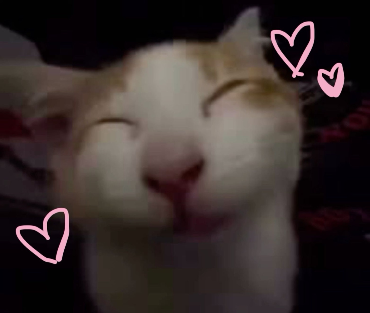 Happy cat with eyes squeezed shut and a big smile framed by pink hearts
