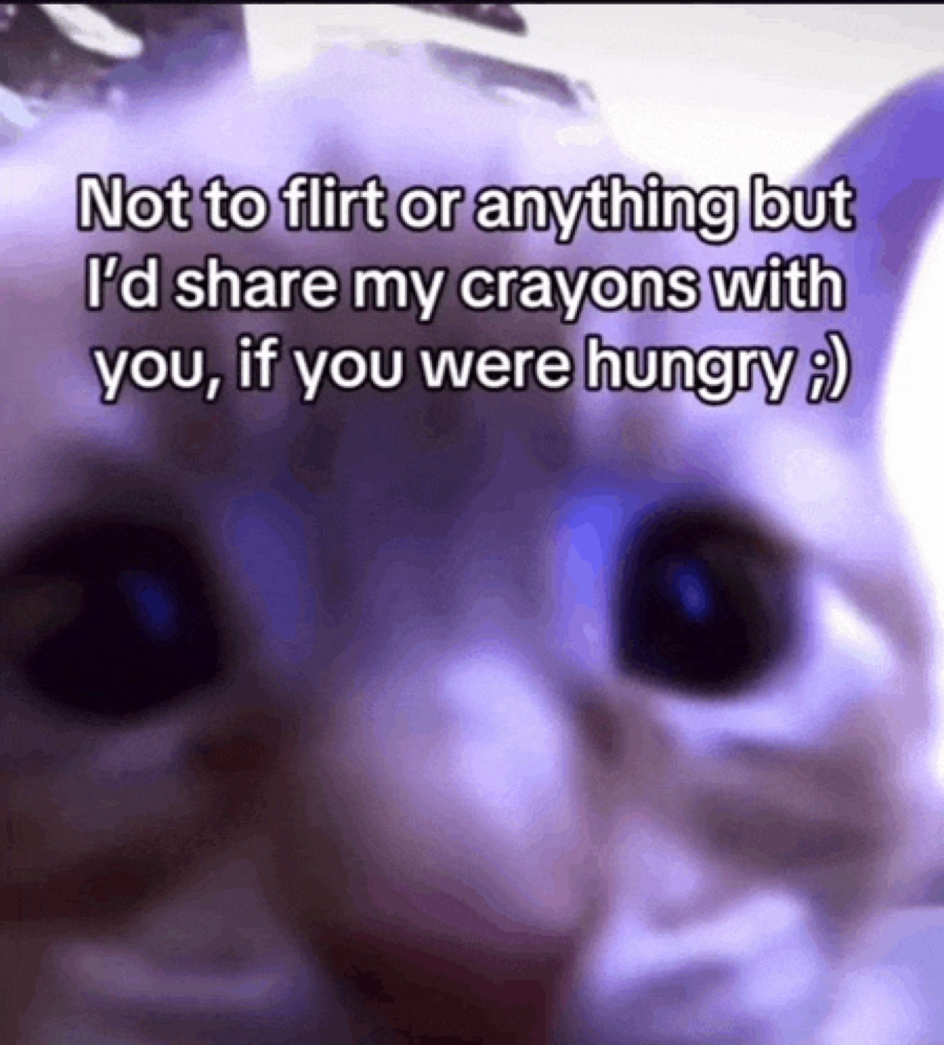 Close-up of a wide-eyed cat staring with the text 'Not to flirt or anything but I'd share my crayons with you, if you were hungry ;)'