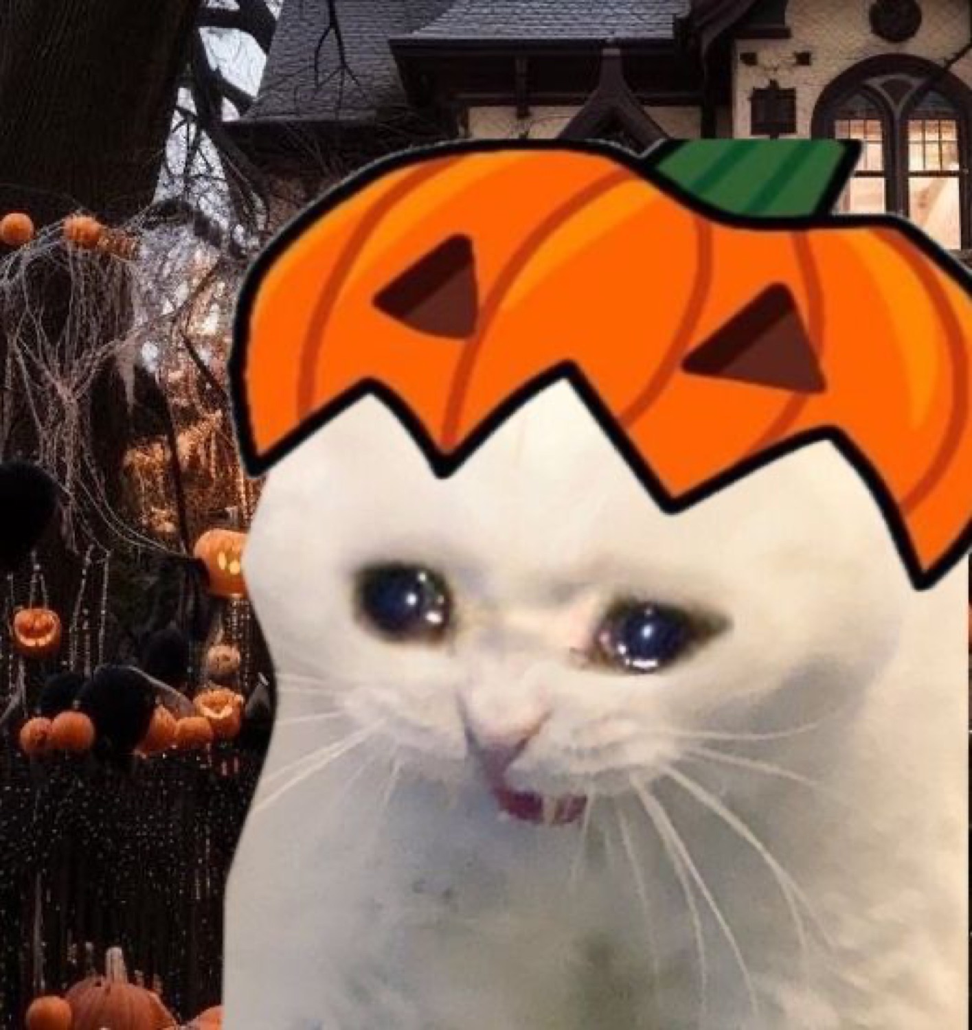Crying white cat with a pumpkin hat in front of a haunted house