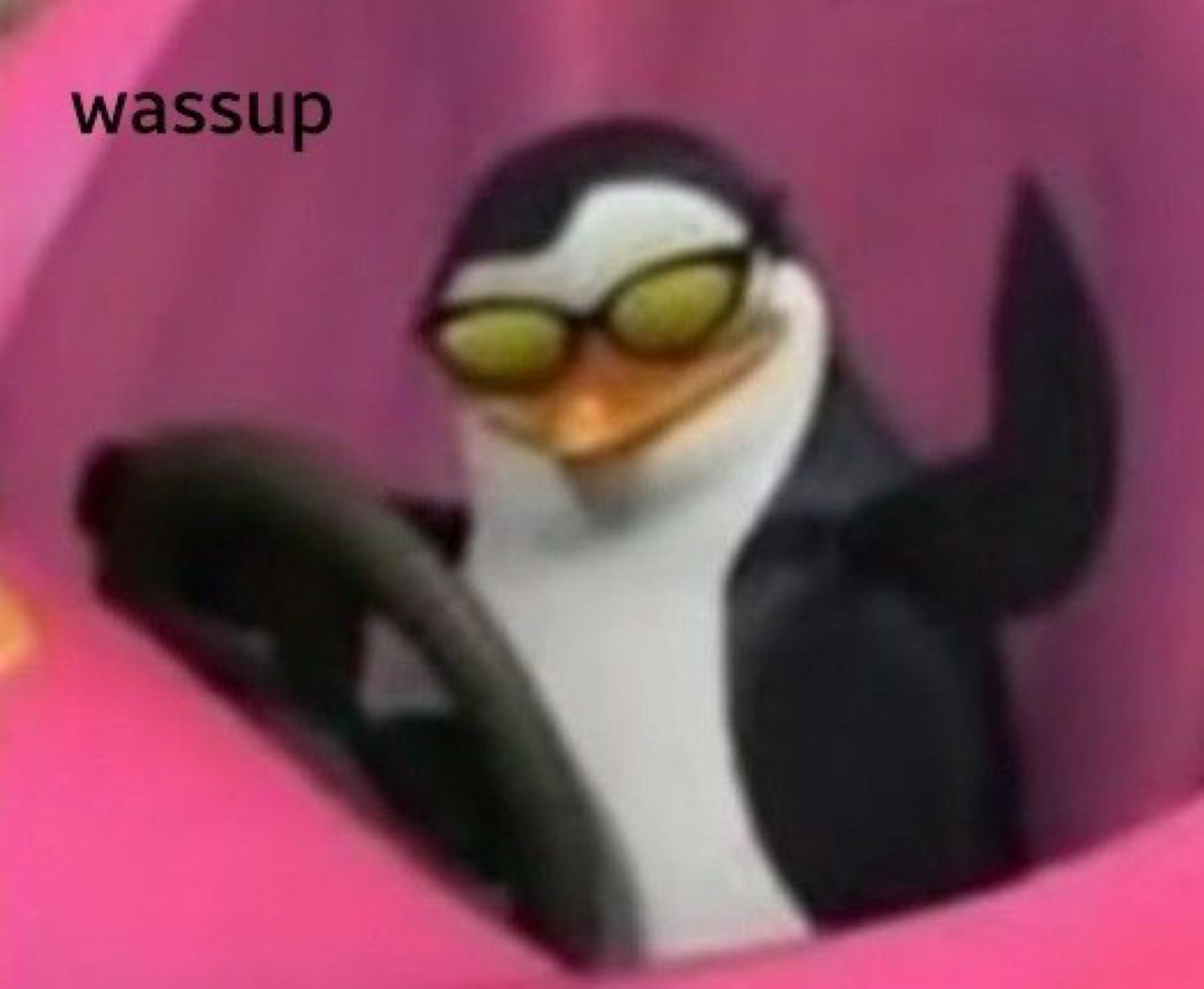 Penguin in sunglasses driving: 'wassup'