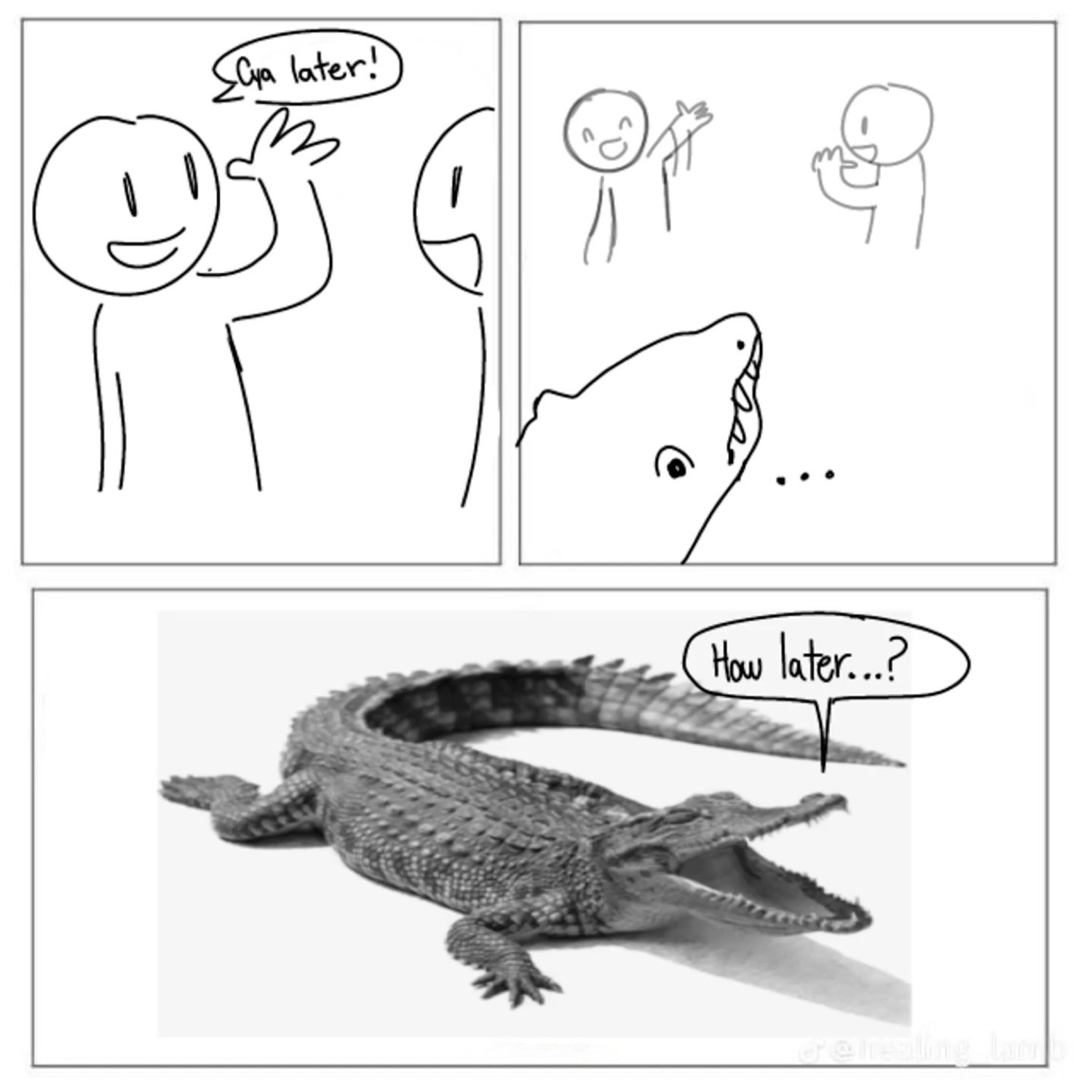 Stick-figure comic: 'see ya later!' answered by a confused alligator asking 'how later...?'