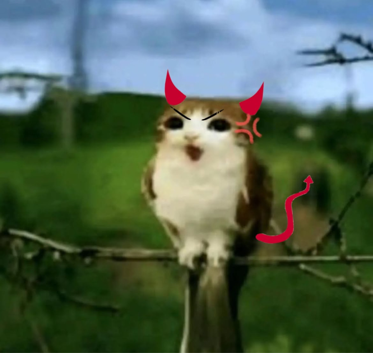 Owl-bodied cat with devil horns and tail screaming in anger