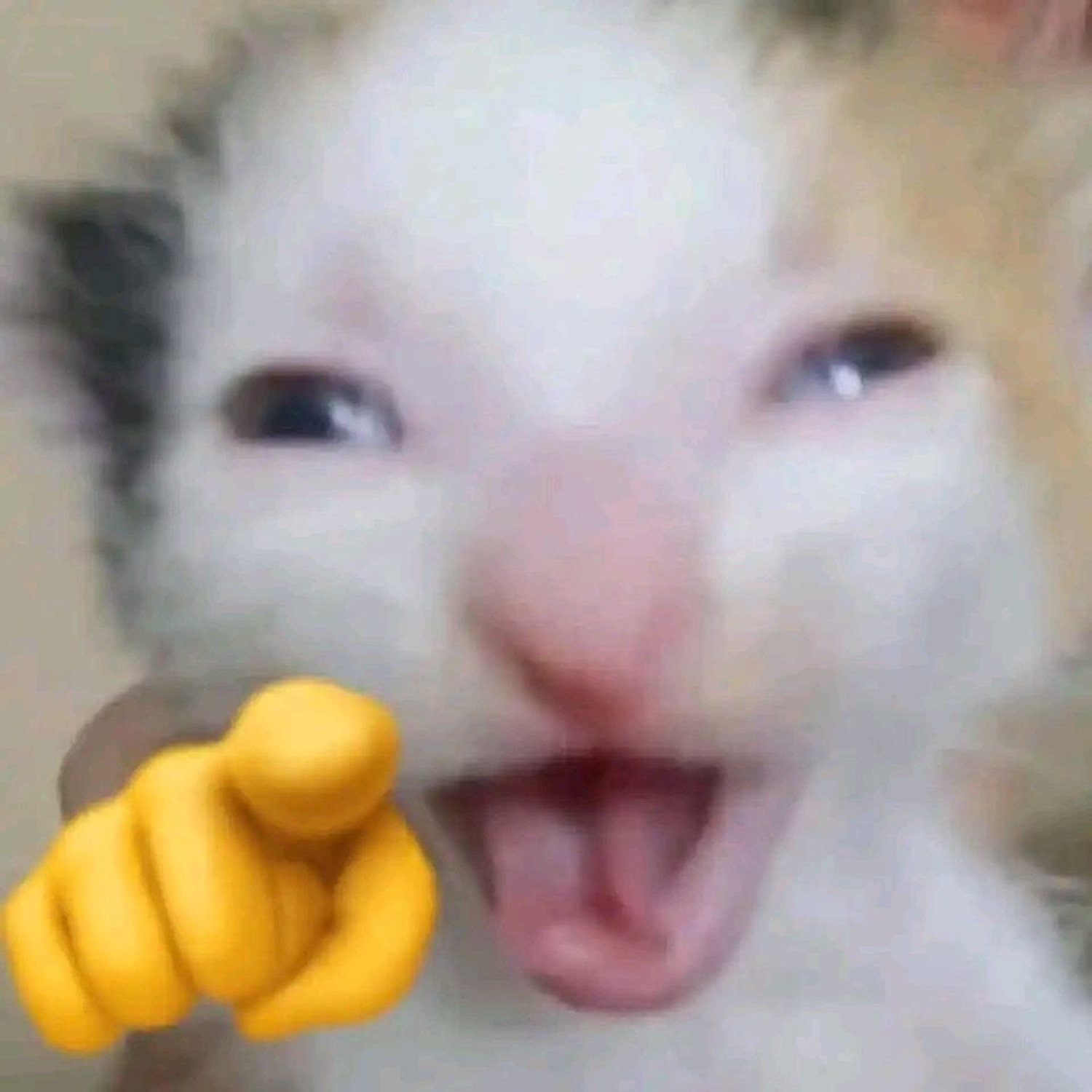 White kitten laughing with its mouth open while pointing a yellow emoji finger