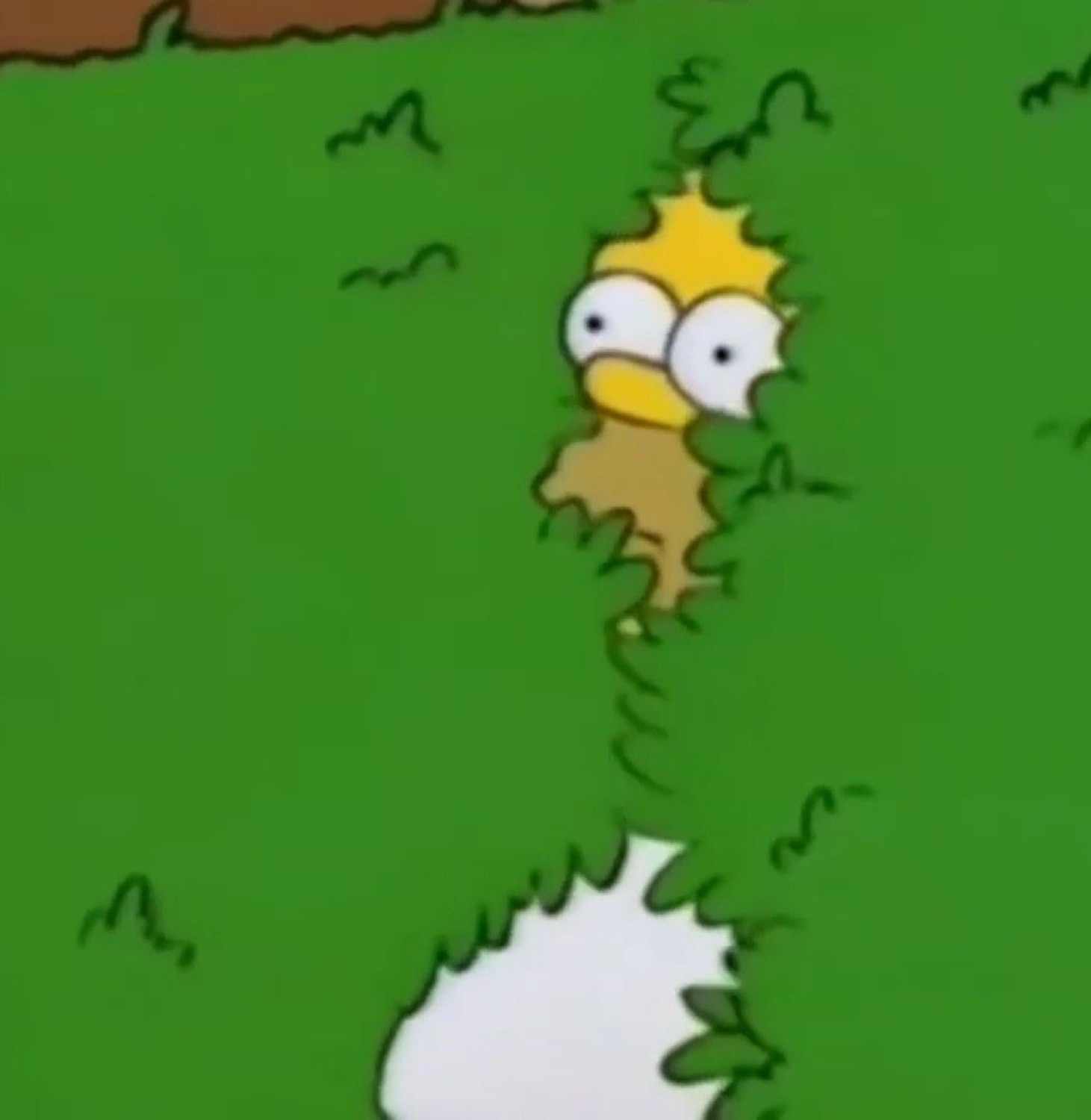Only Homer Simpson's eyes left poking out of the hedge as he vanishes