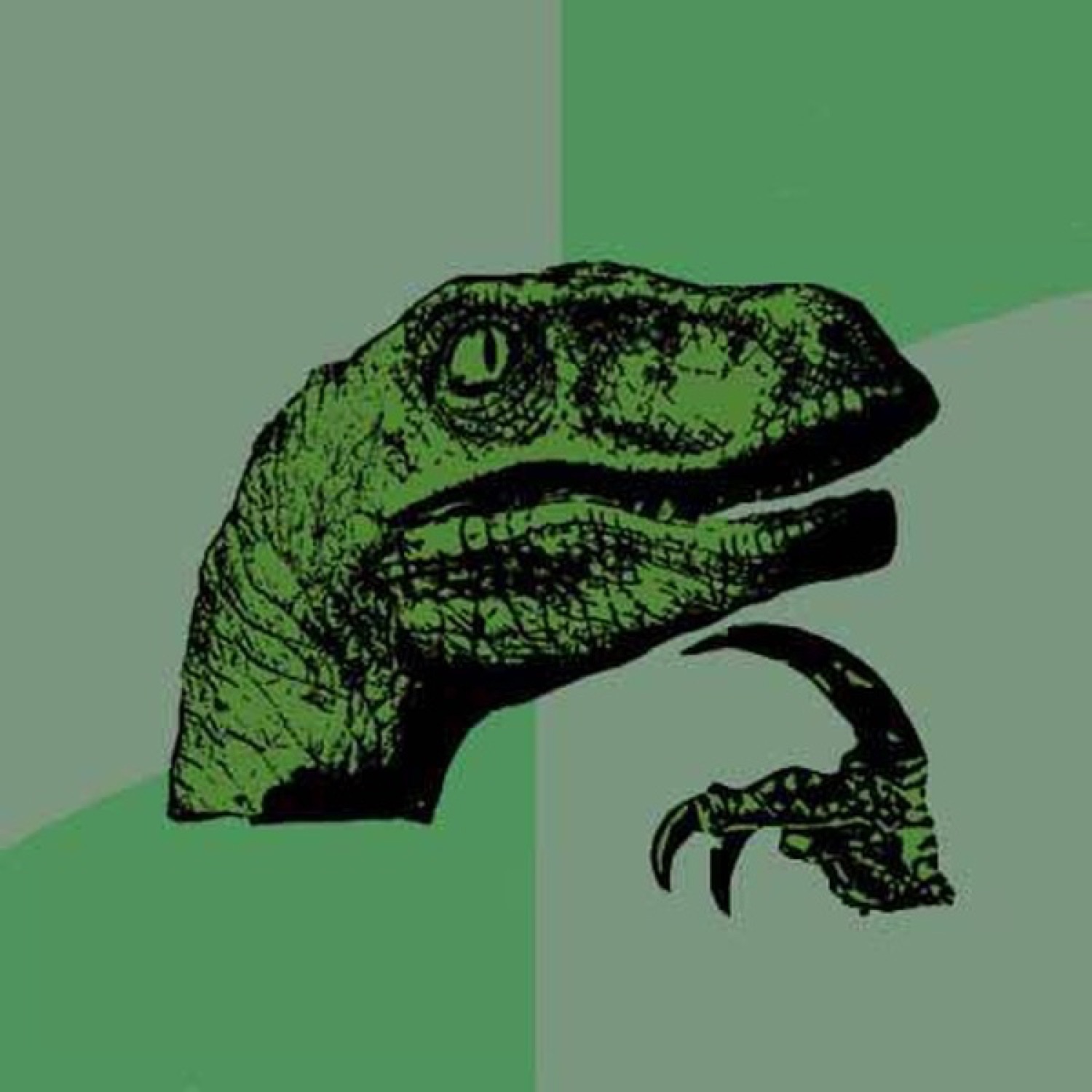 The Philosoraptor meme, a green raptor holding its claw to its chin deep in thought