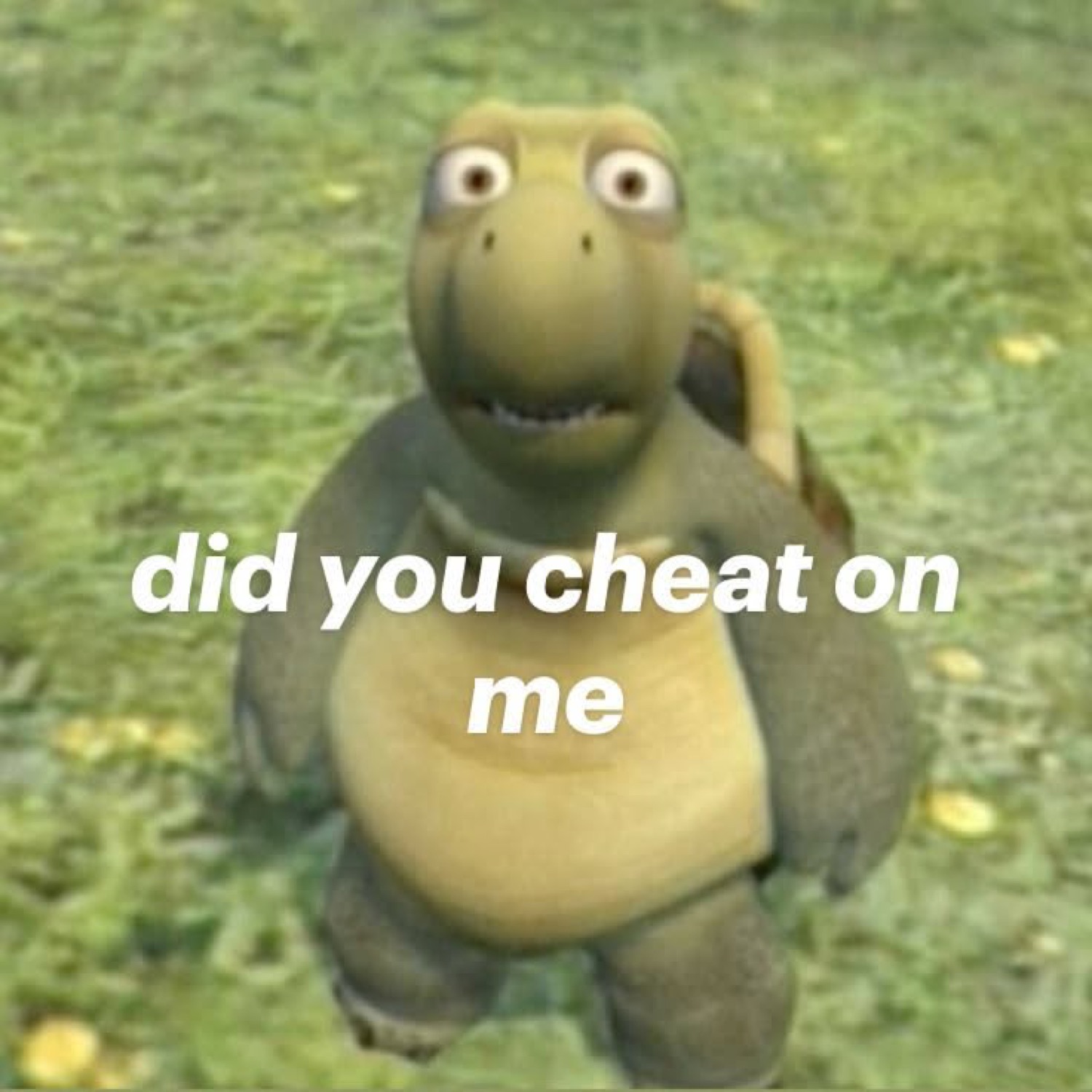 Verne the turtle from Over the Hedge asking 'did you cheat on me'