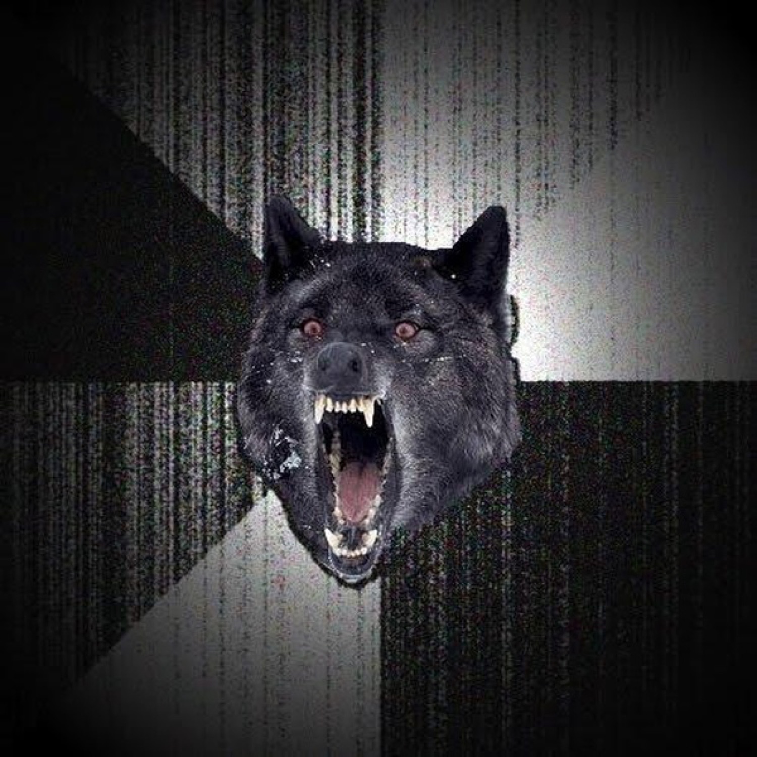 Insanity Wolf snarling with bared teeth on a dark static-noise background, fully unhinged