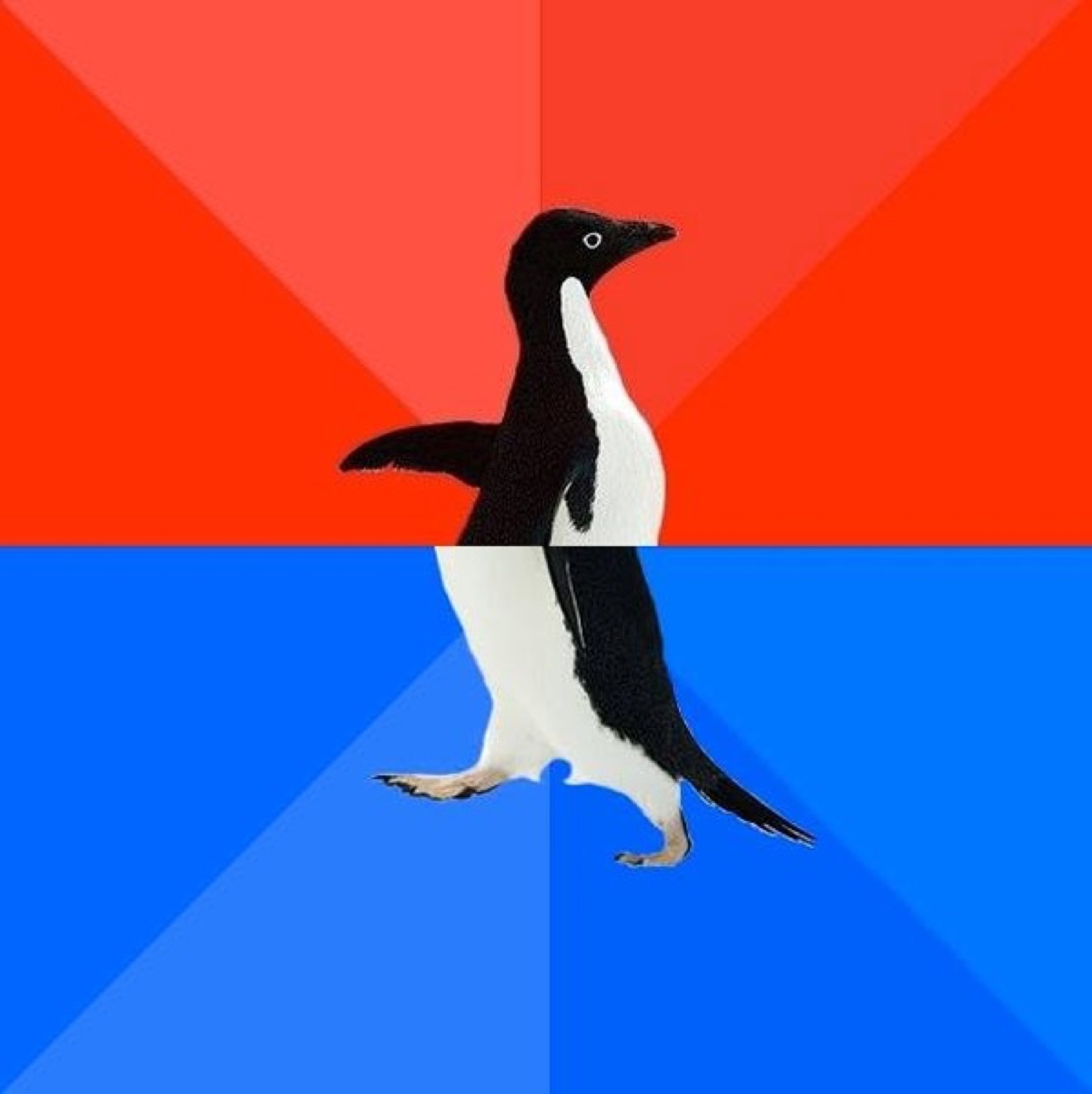 Socially Awesome Awkward Penguin meme with the classic red-and-blue split background
