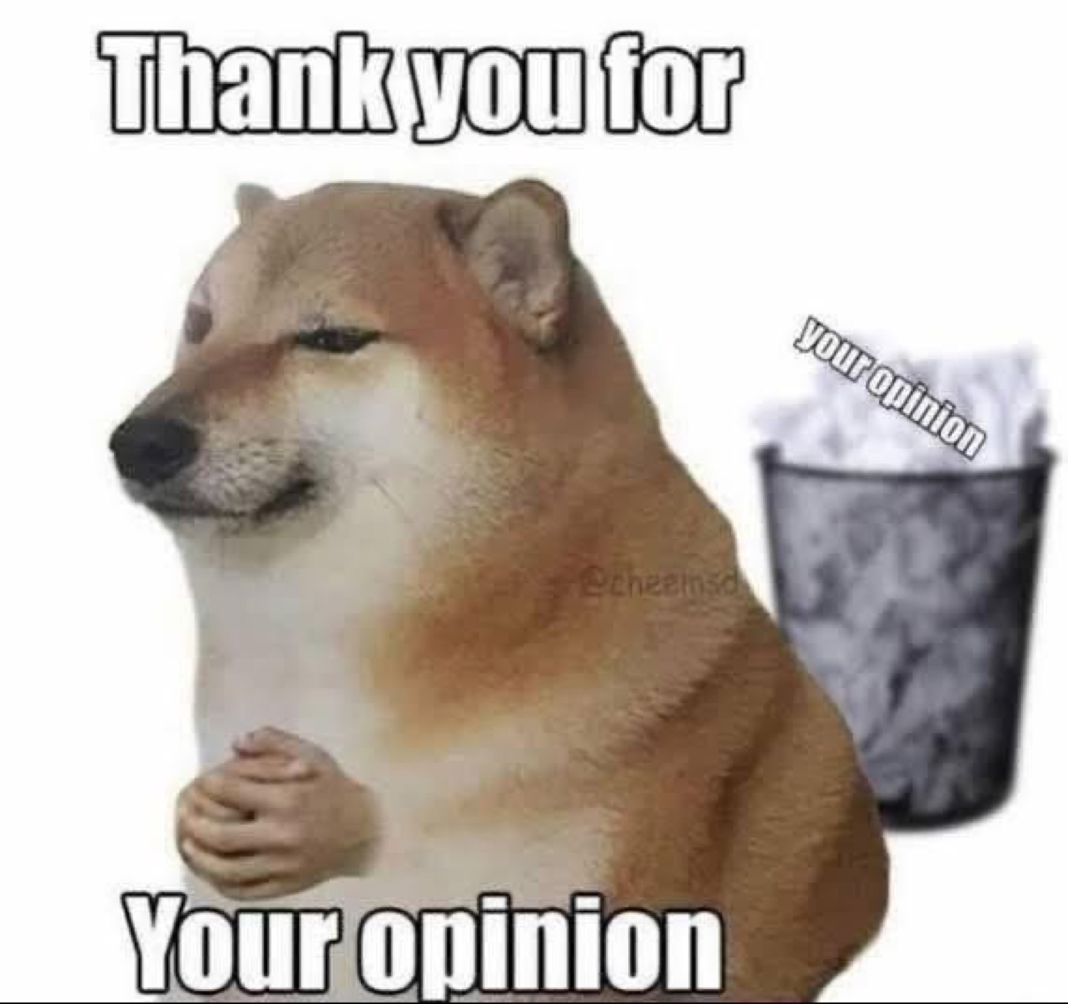 Cheems next to a trash can: 'Thank you for your opinion'