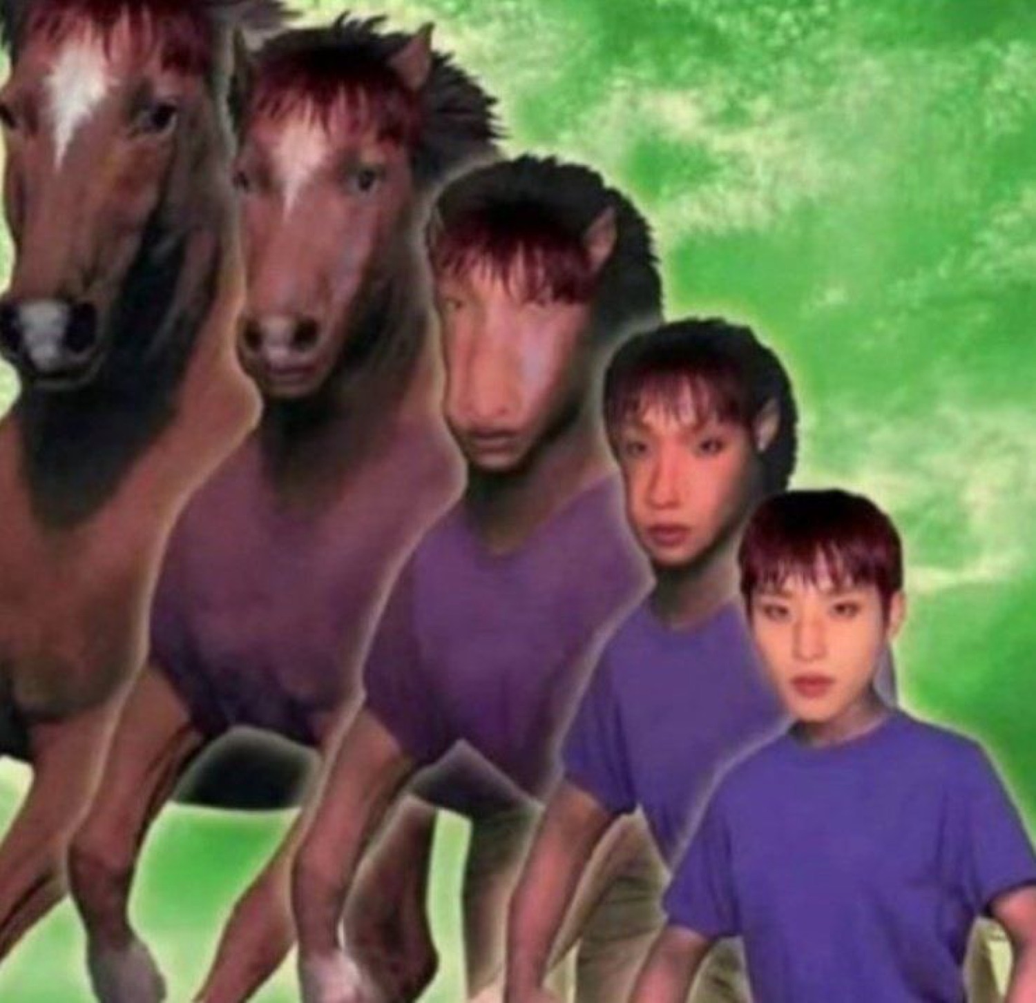 Surreal photo montage of horses gradually morphing into a human boy through intermediate stages