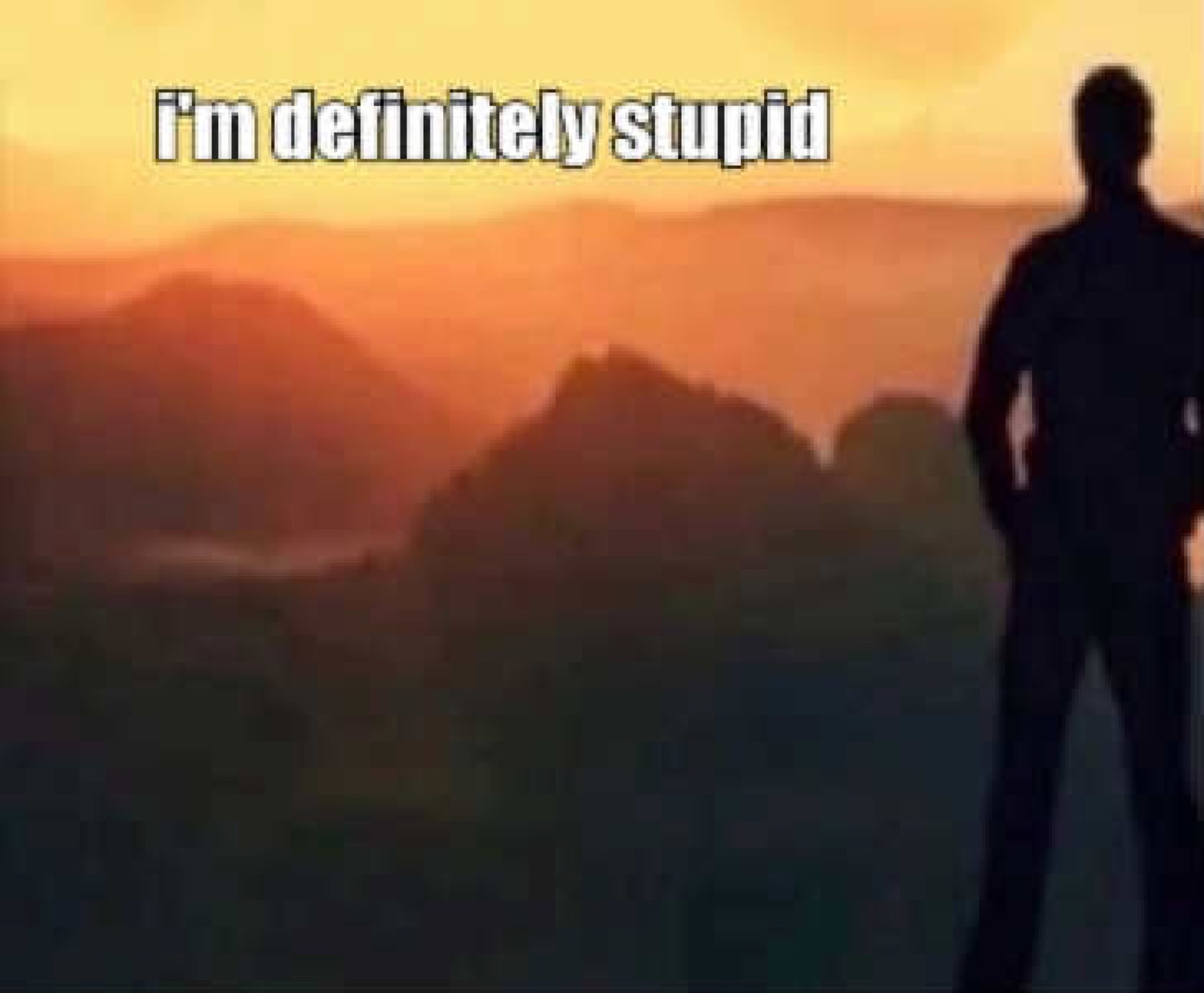 Silhouette figure surveying a sunset landscape captioned 'i'm definitely stupid'