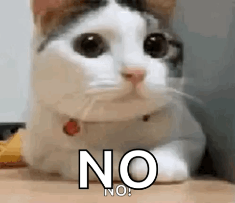 Cat shaking its head, "NO"