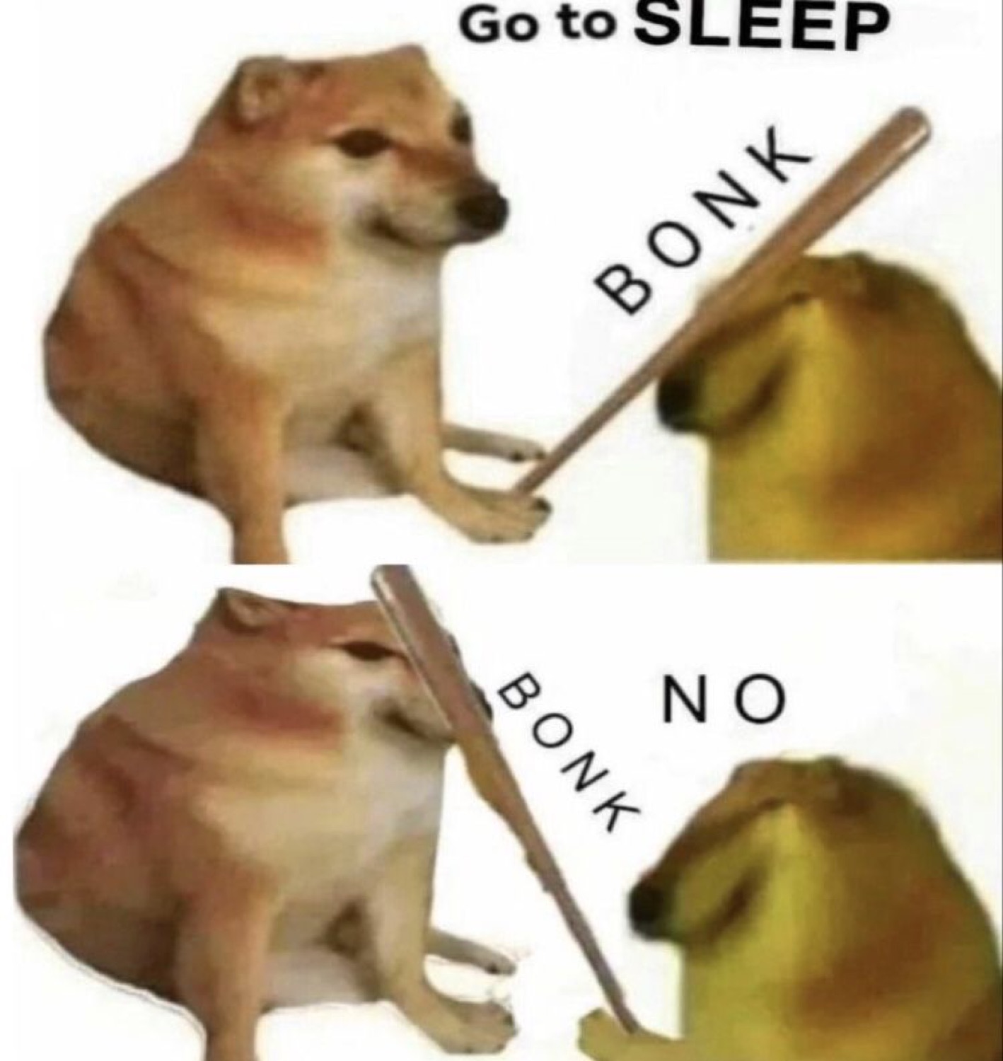 Two-panel cheems: 'Go to SLEEP' bonk, then the other dog says 'NO'