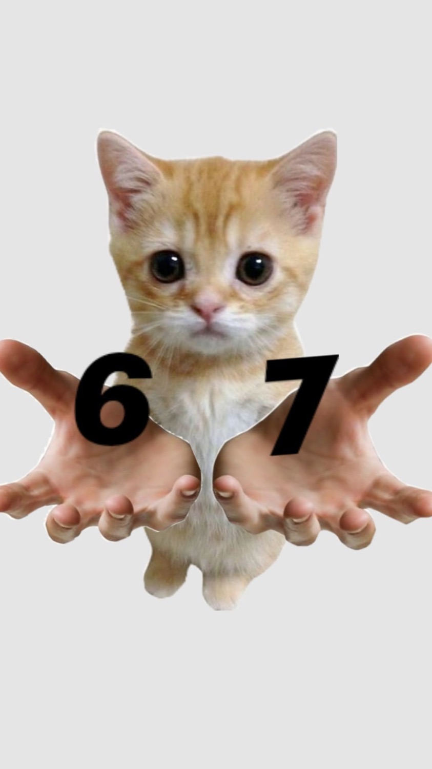 Orange kitten held in open hands with '6' and '7' written across them