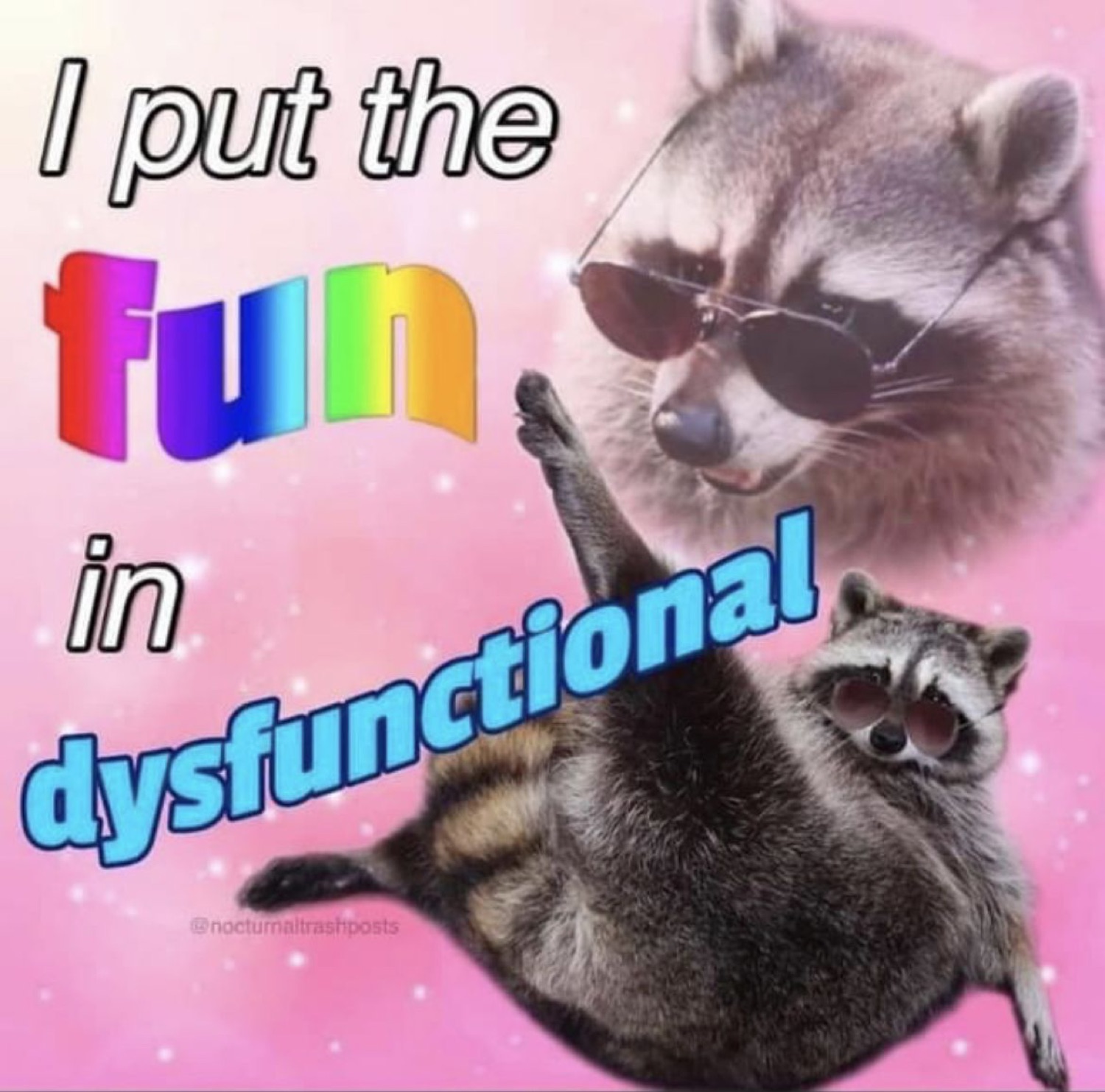 Raccoons in sunglasses on a glittery pink background under 'I put the fun in dysfunctional'