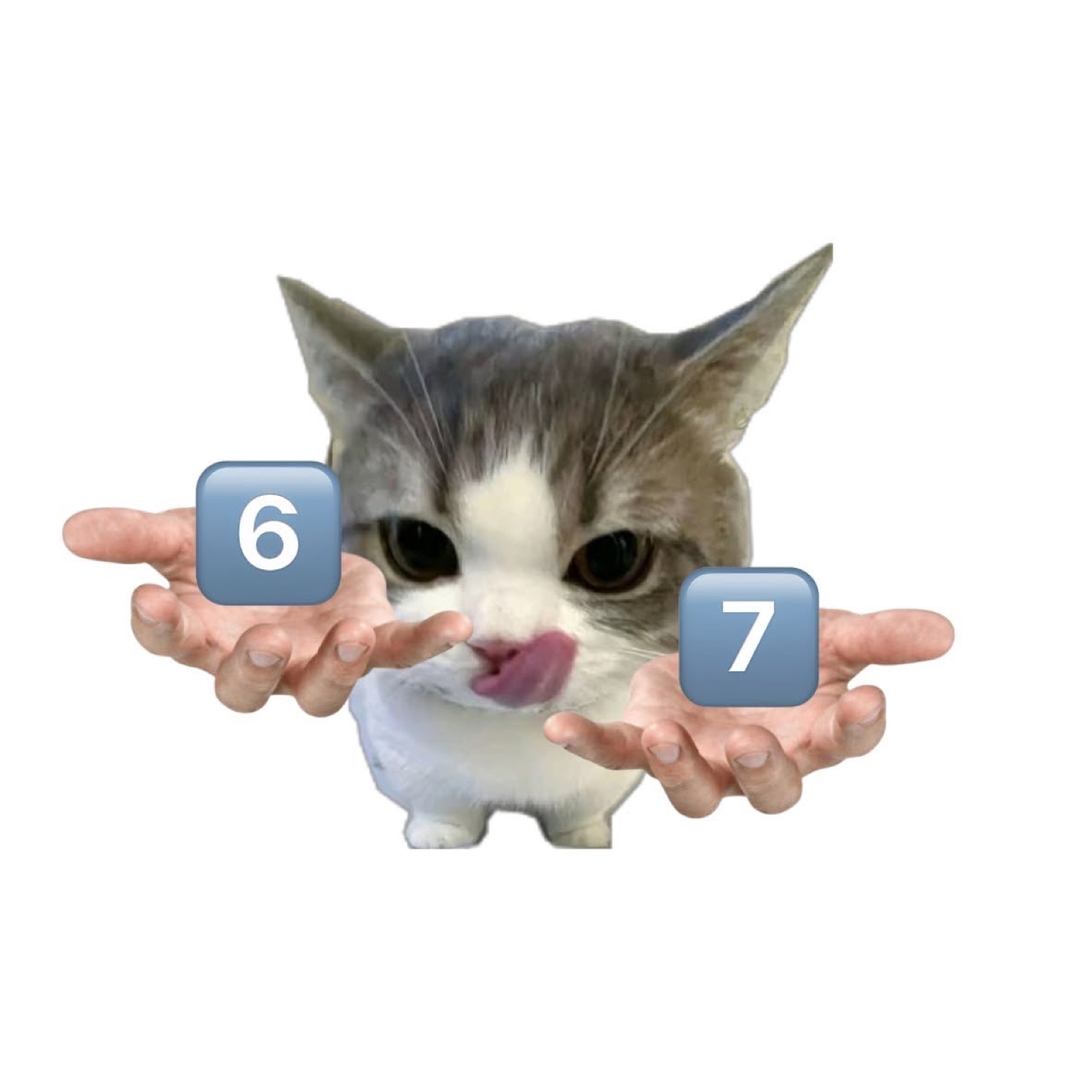 Kitten licking its lips with cartoon hands holding '6' and '7' blocks