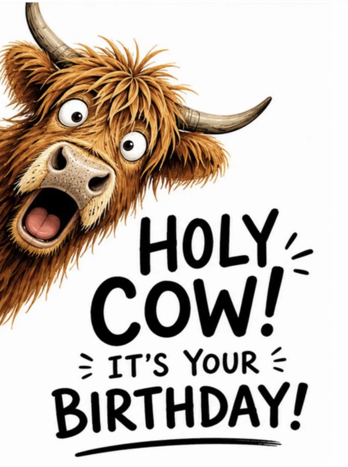 Shocked highland cow peeking in: 'HOLY COW! IT'S YOUR BIRTHDAY!'