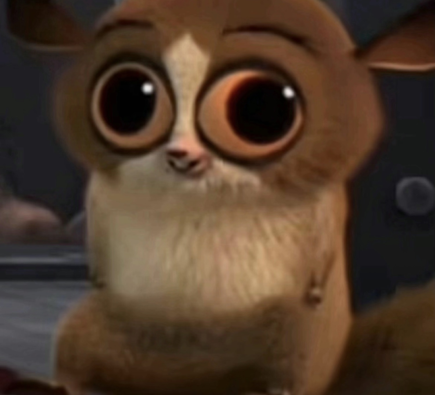 Big-eyed lemur cartoon looking up with a wide, worried stare