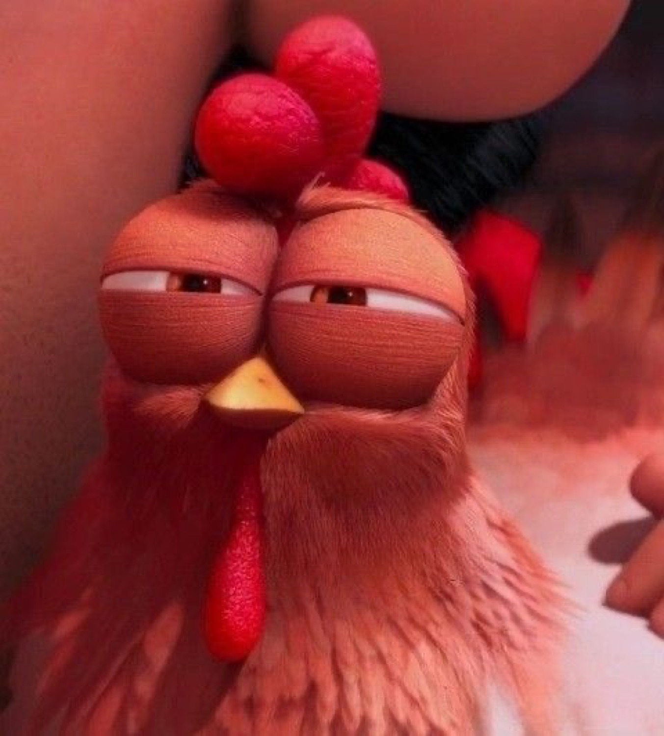 Animated red rooster with heavy half-lidded eyes looking utterly done