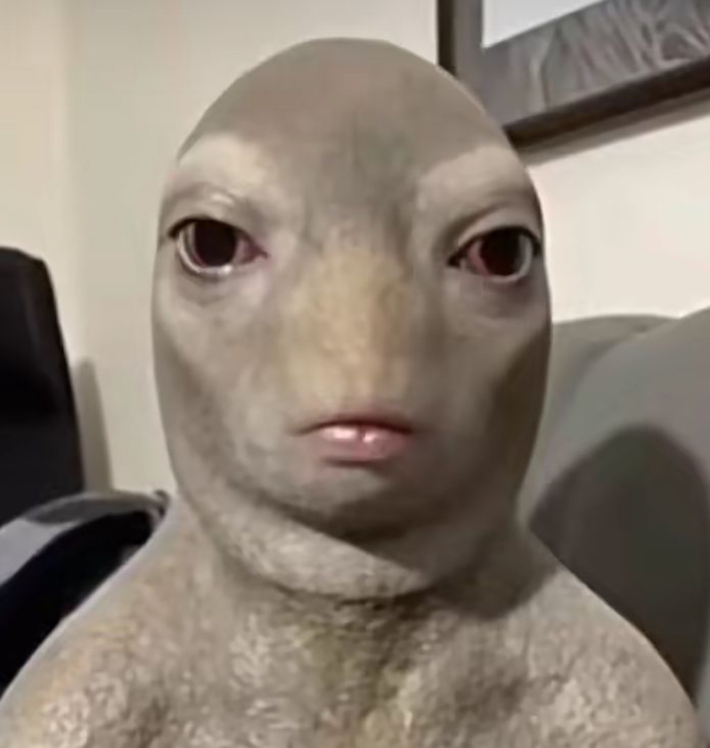 Person with a creepy fish-face filter staring completely blankly at the camera