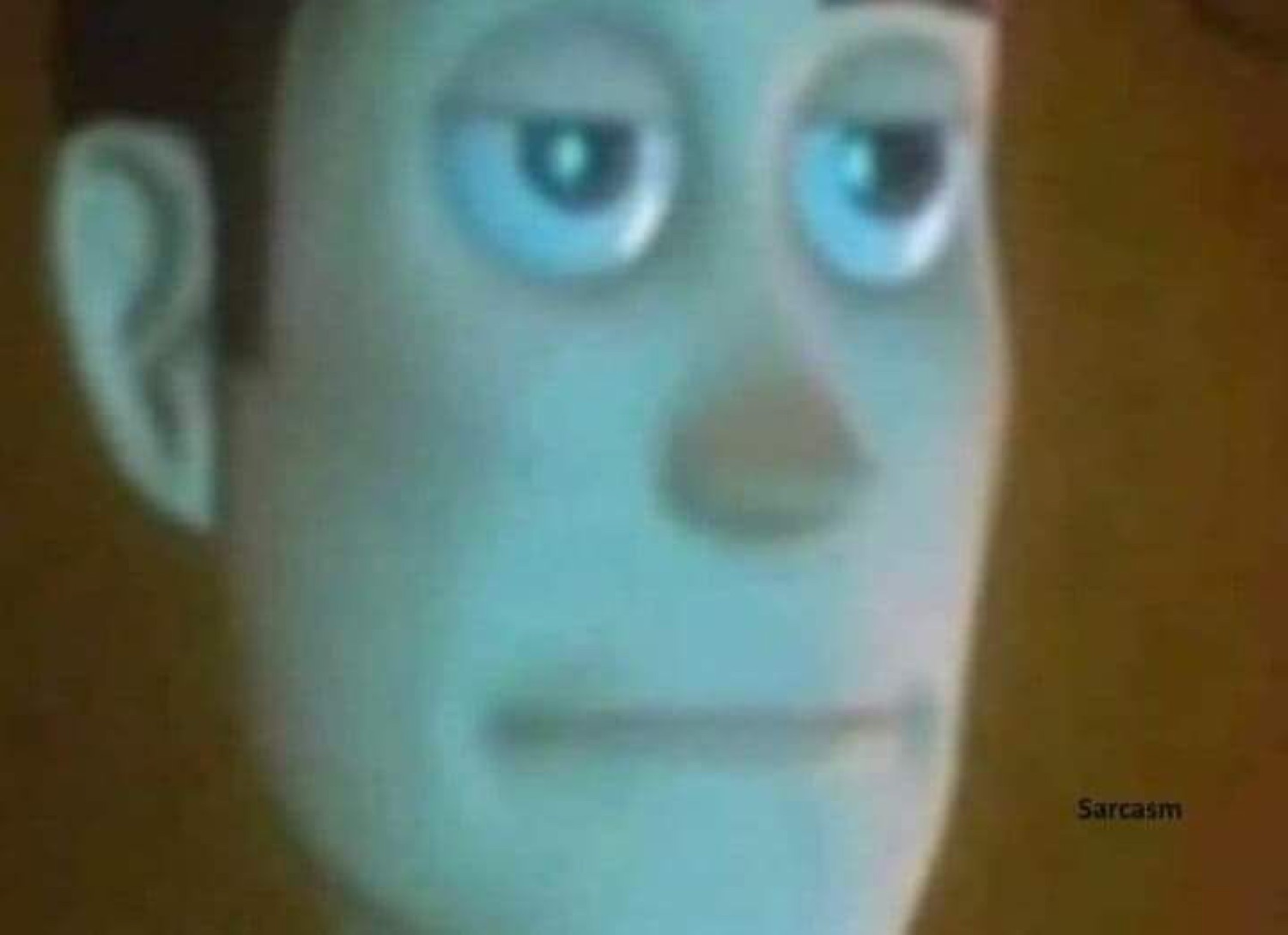 Distorted Woody face with a dead-flat stare, captioned 'Sarcasm'
