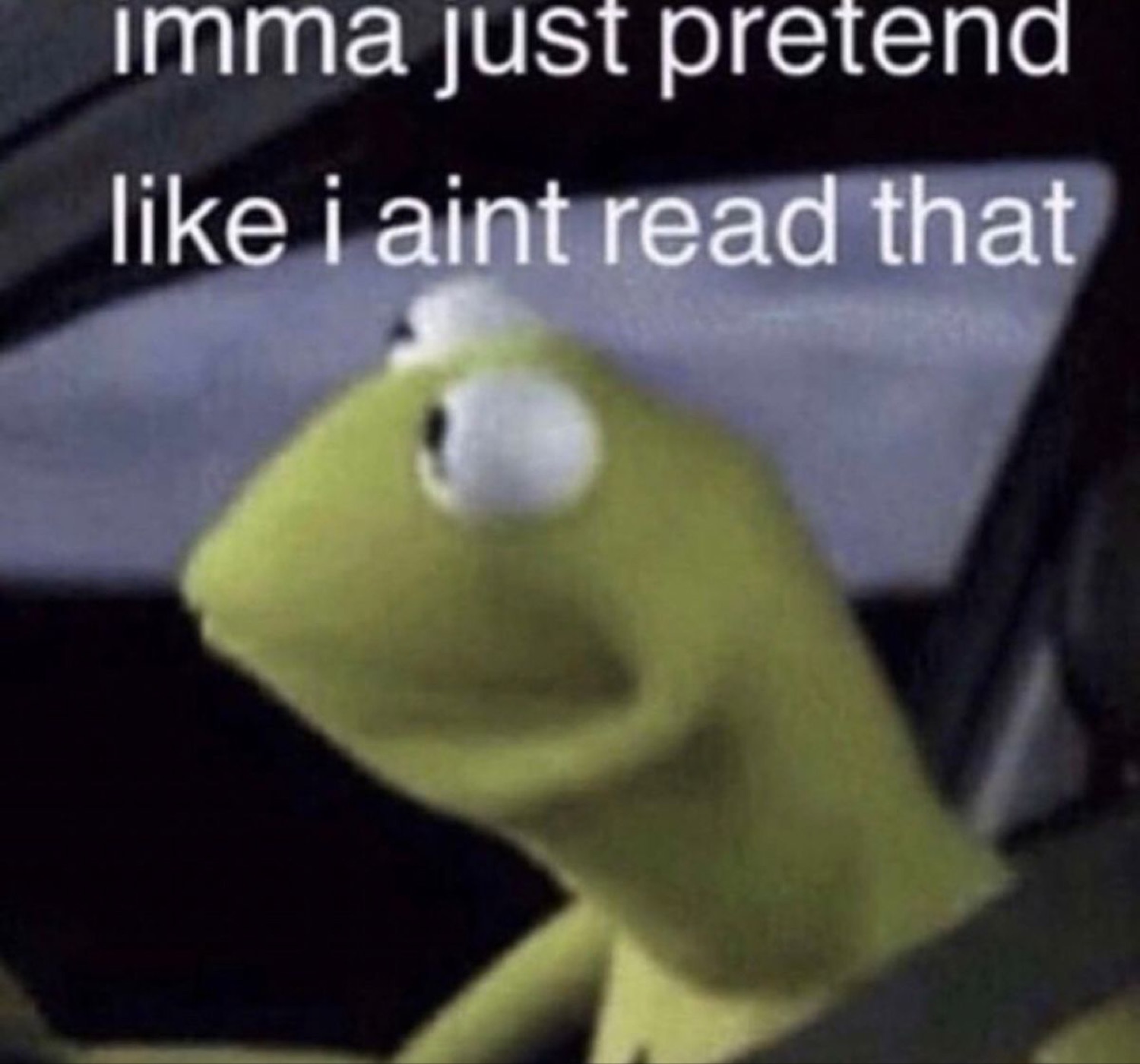 Kermit looking away: 'imma just pretend like i aint read that'