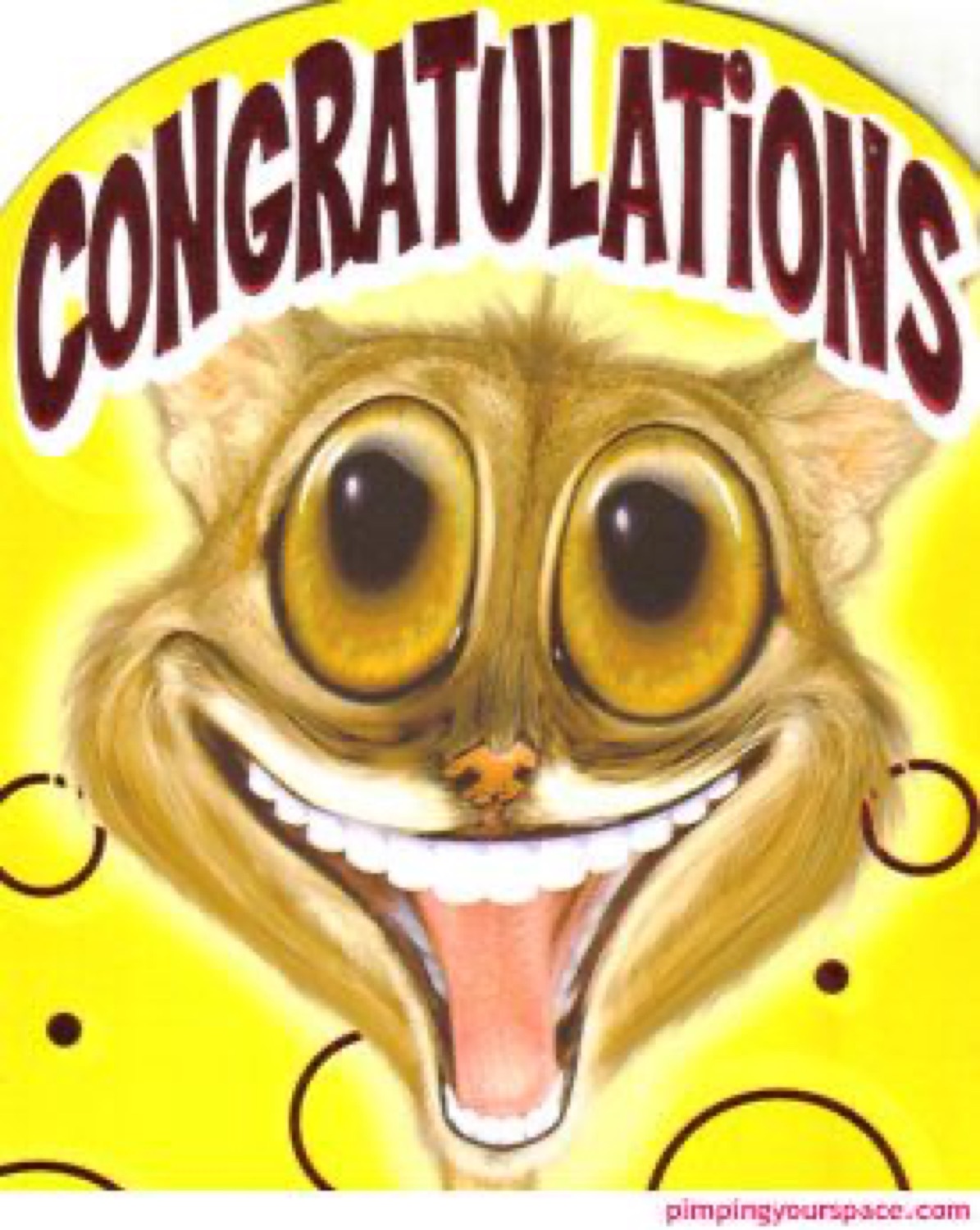 Tarsier with huge eyes and a giant grin under 'CONGRATULATIONS'
