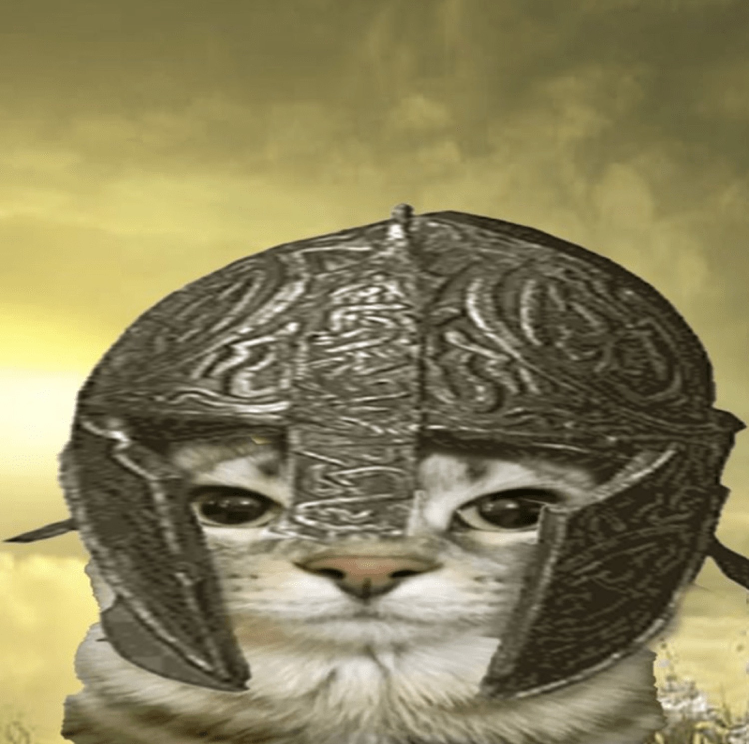 Cat peering out from under a huge dented knight's helmet, unimpressed