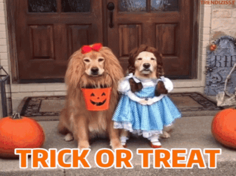 Two dogs dressed as the Cowardly Lion and Dorothy, "Trick or treat"