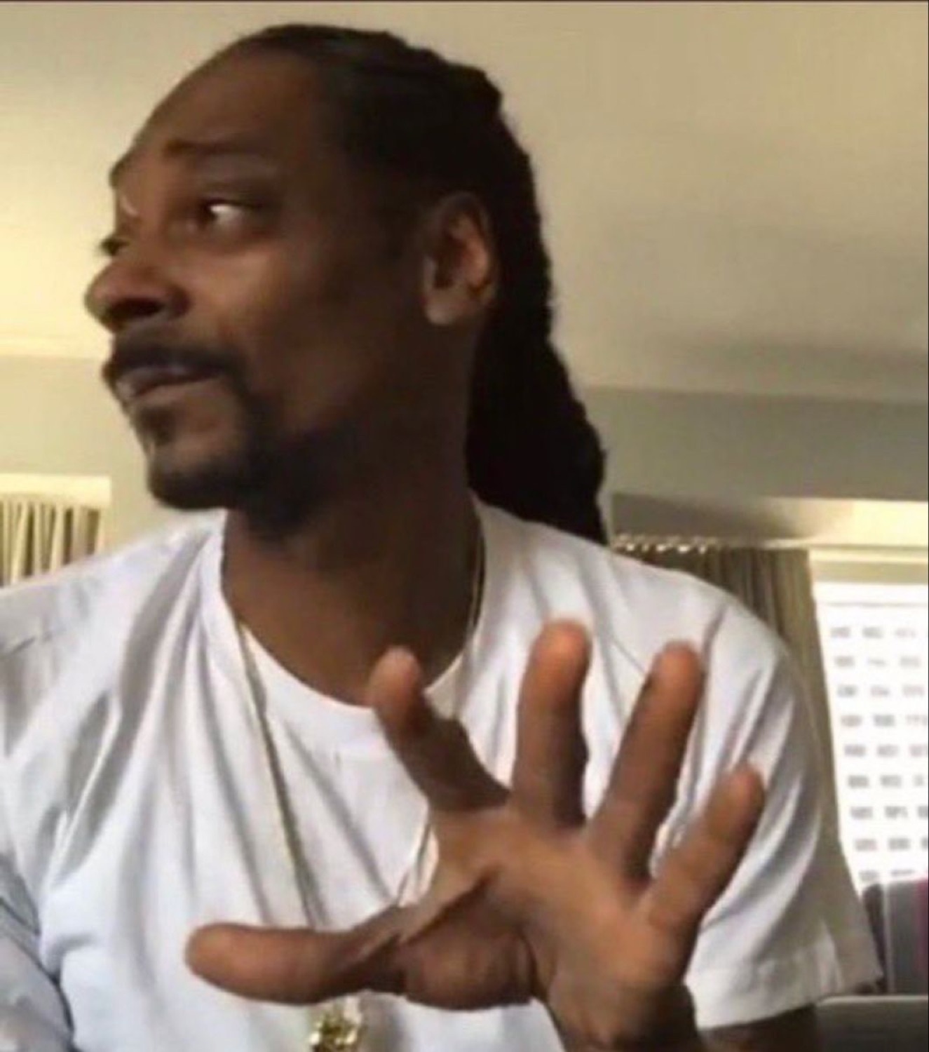 Snoop Dogg holding up a hand and side-eyeing with a skeptical 'hold up' look