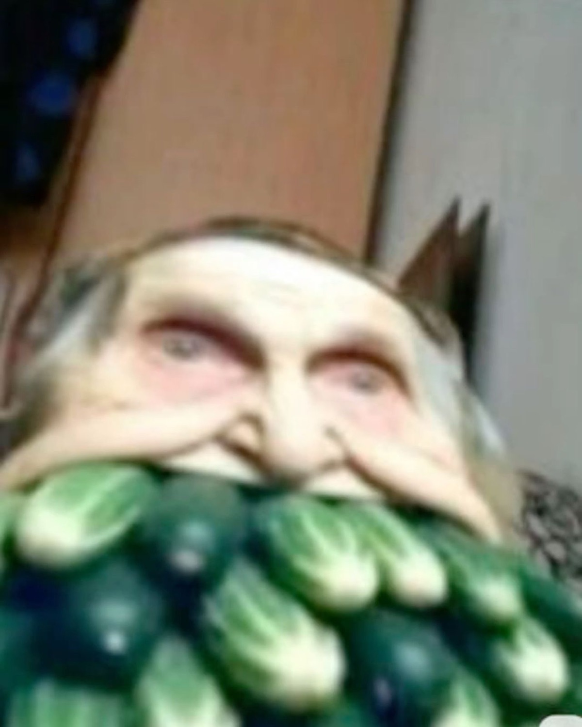 Blurry close-up of an elderly person with a green cucumber beard staring blankly