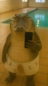 Alligator in boxer shorts standing upright taking a mirror selfie